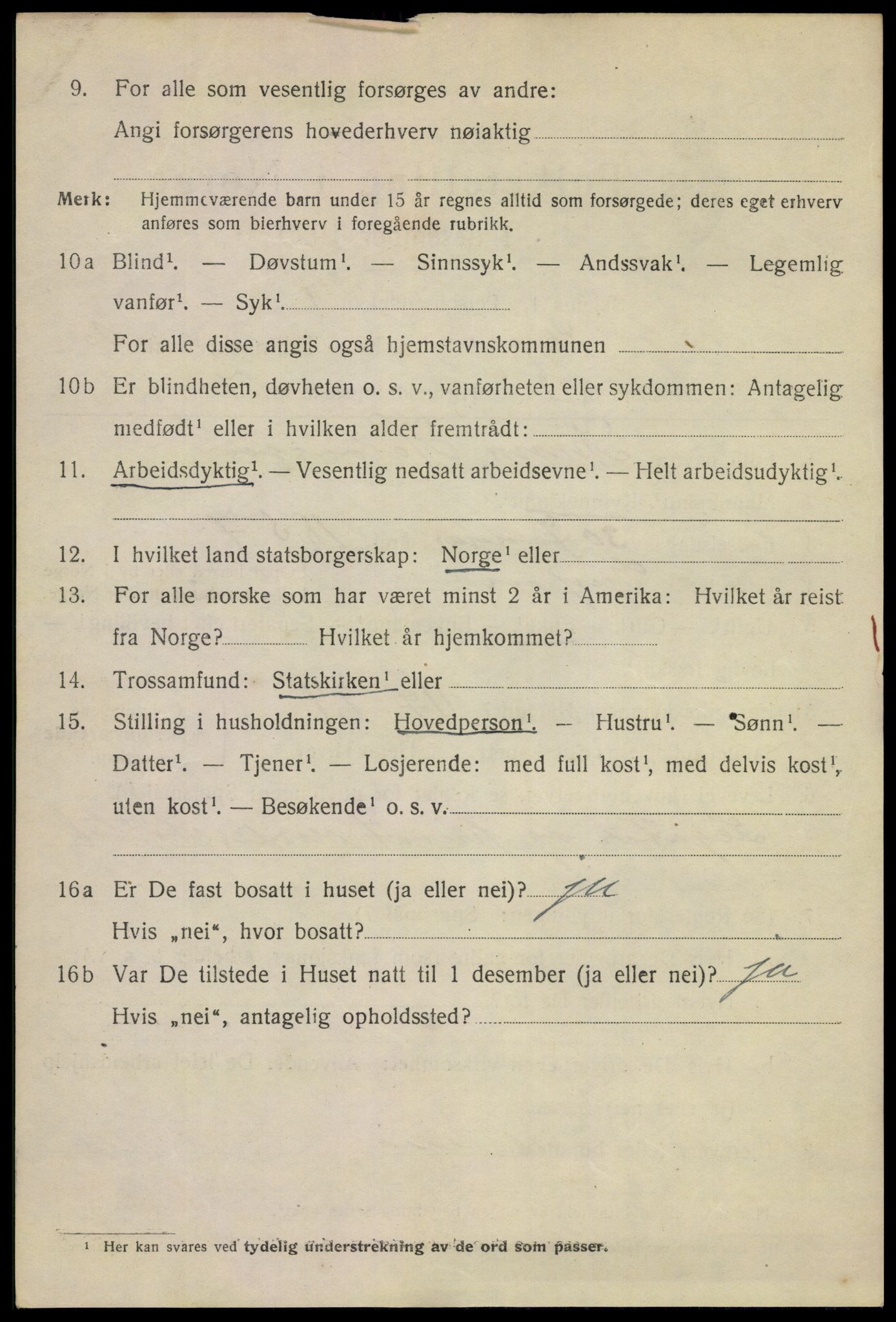 SAKO, 1920 census for Skien, 1920, p. 13543