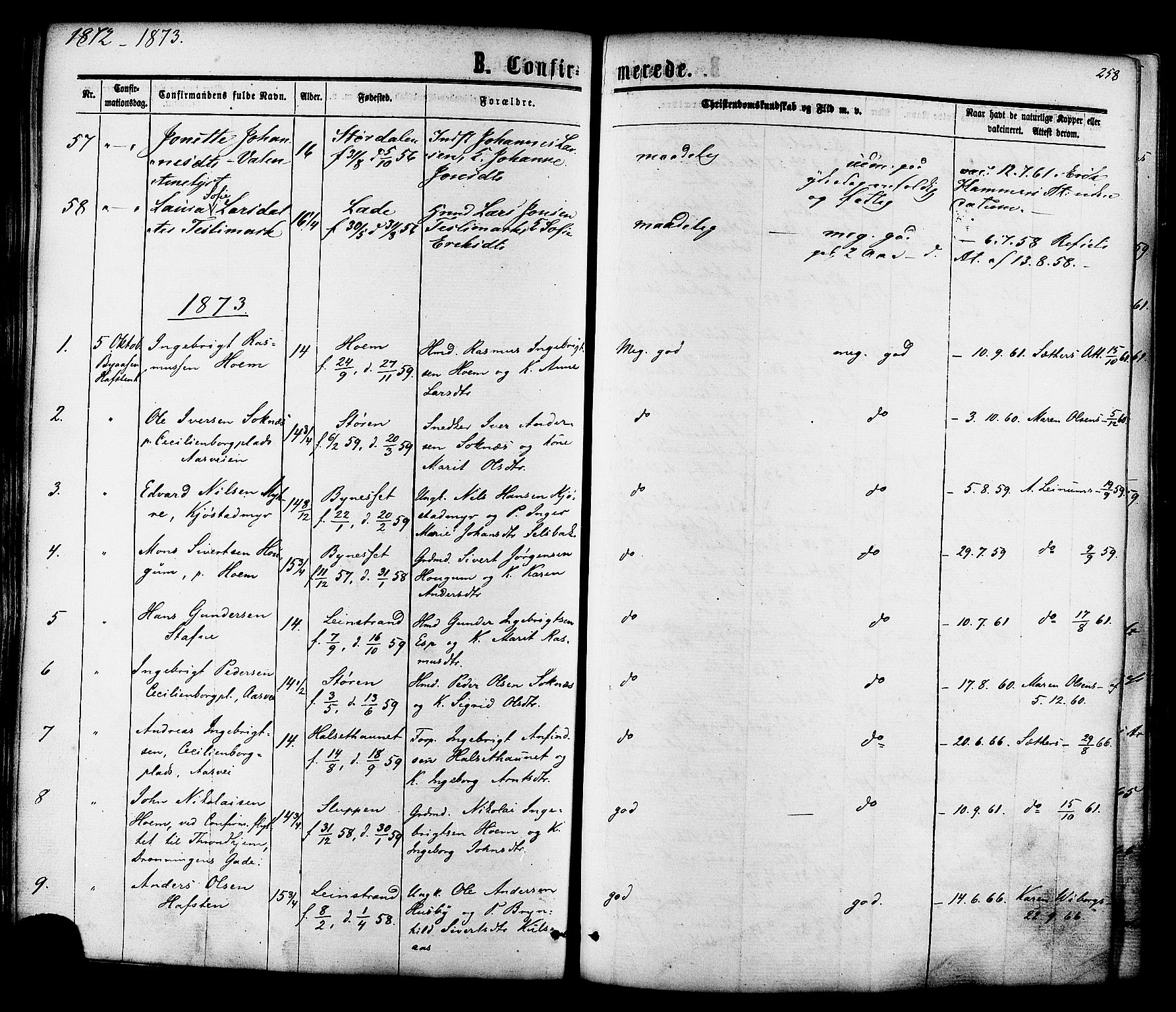 Ministerialprotokoller, klokkerbøker og fødselsregistre - Sør-Trøndelag, SAT/A-1456/606/L0293: Parish register (official) no. 606A08, 1866-1877, p. 258