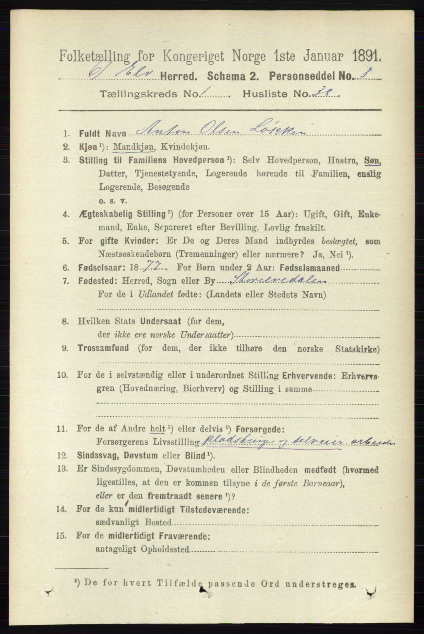 RA, 1891 census for 0427 Elverum, 1891, p. 426