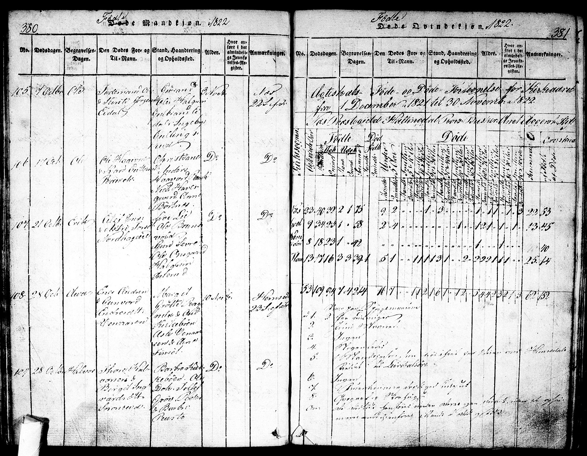 Nes kirkebøker, AV/SAKO-A-236/F/Fa/L0007: Parish register (official) no. 7, 1815-1823, p. 380-381