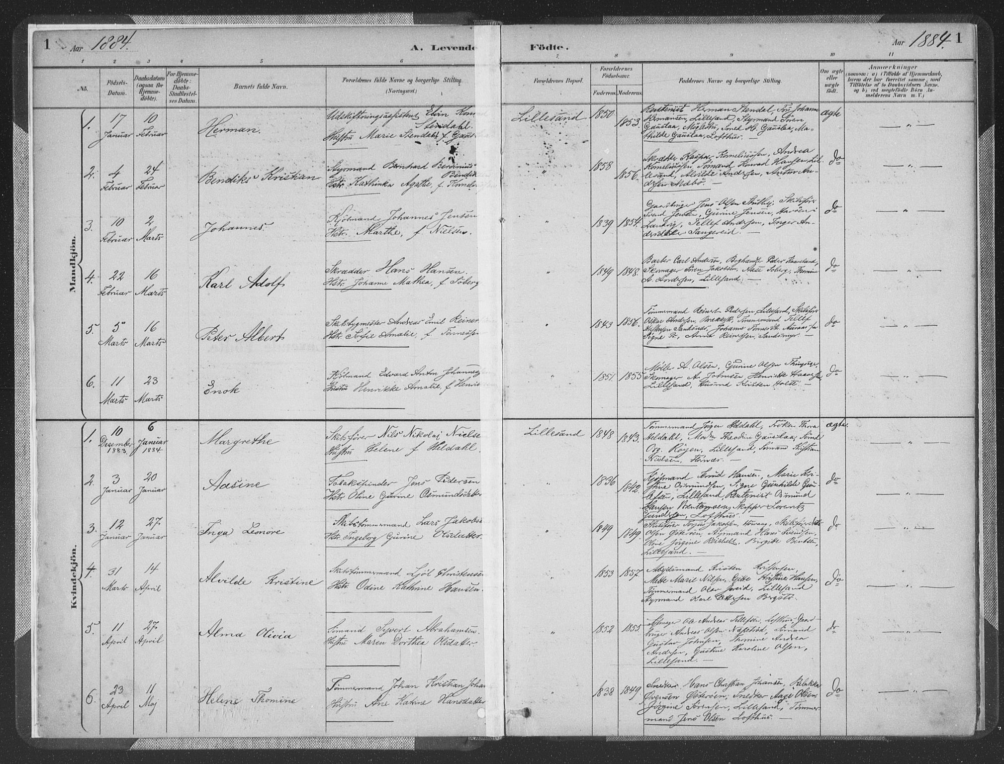 Vestre Moland sokneprestkontor, SAK/1111-0046/F/Fa/Faa/L0001: Parish register (official) no. A 1, 1884-1899, p. 1