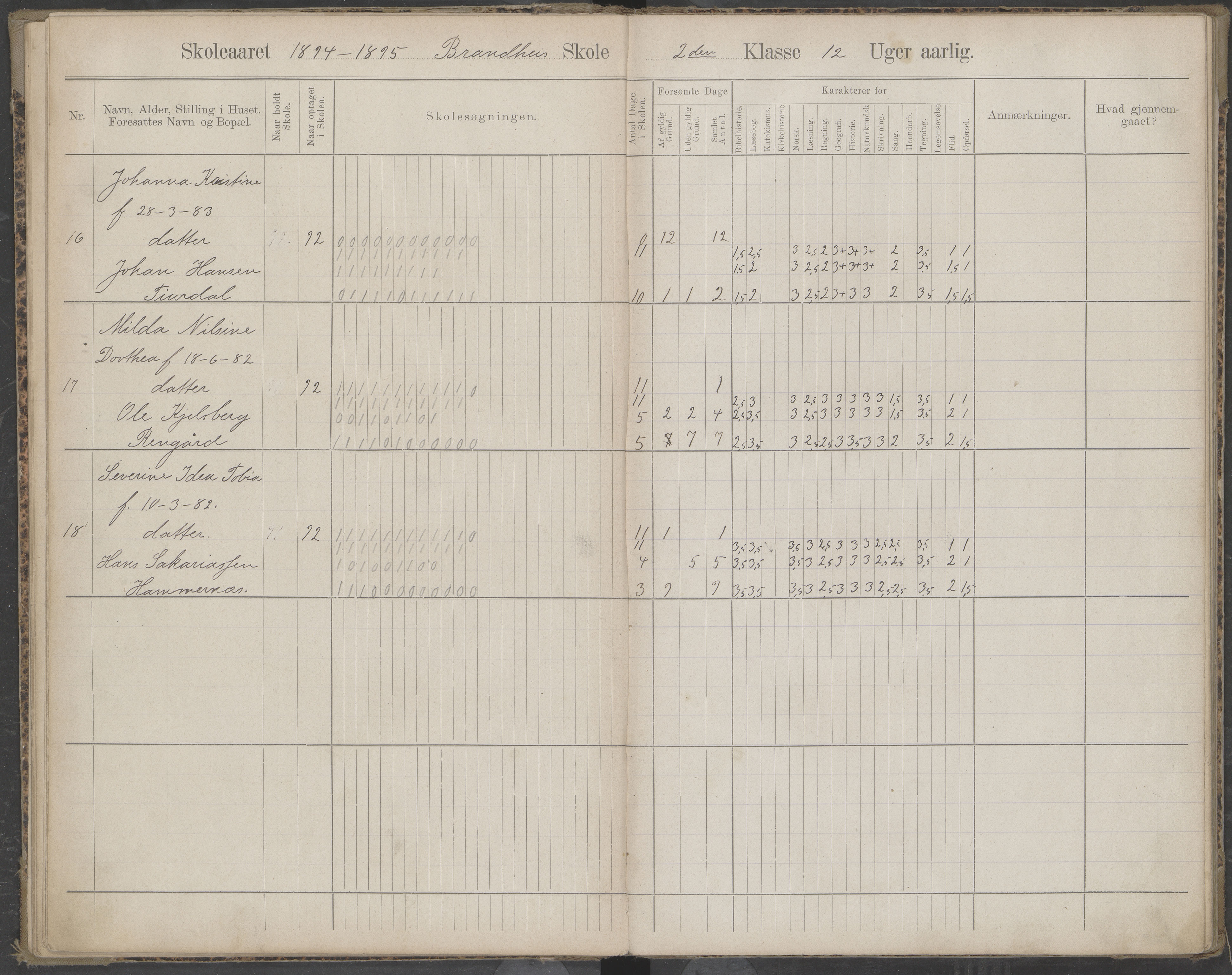 Beiarn kommune. Brandhei skolekrets, AIN/K-18390.510.03/442/L0003: Karakter/oversiktsprotokoll, 1893-1910