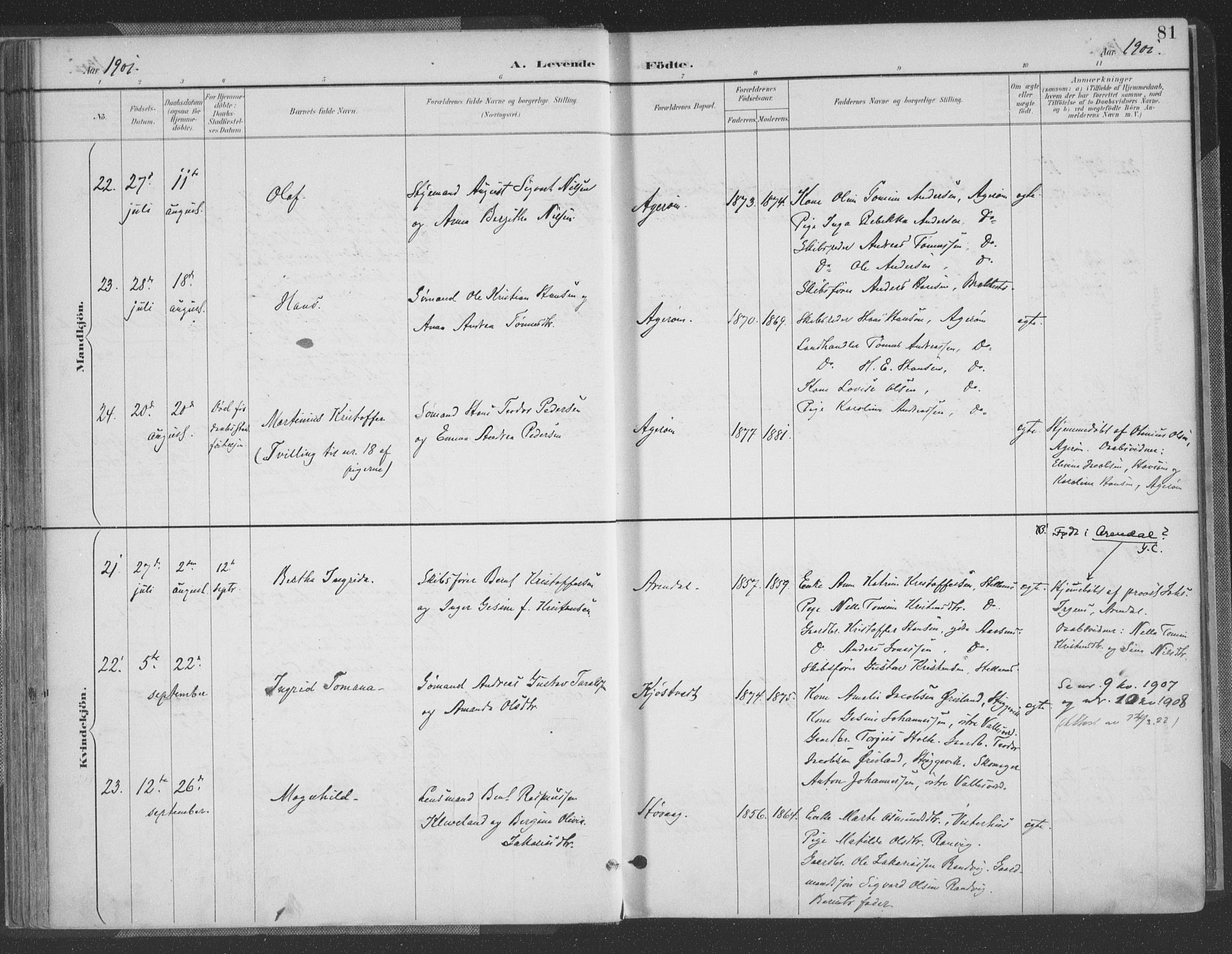 Høvåg sokneprestkontor, AV/SAK-1111-0025/F/Fa/L0006: Parish register (official) no. A 6, 1894-1923, p. 81