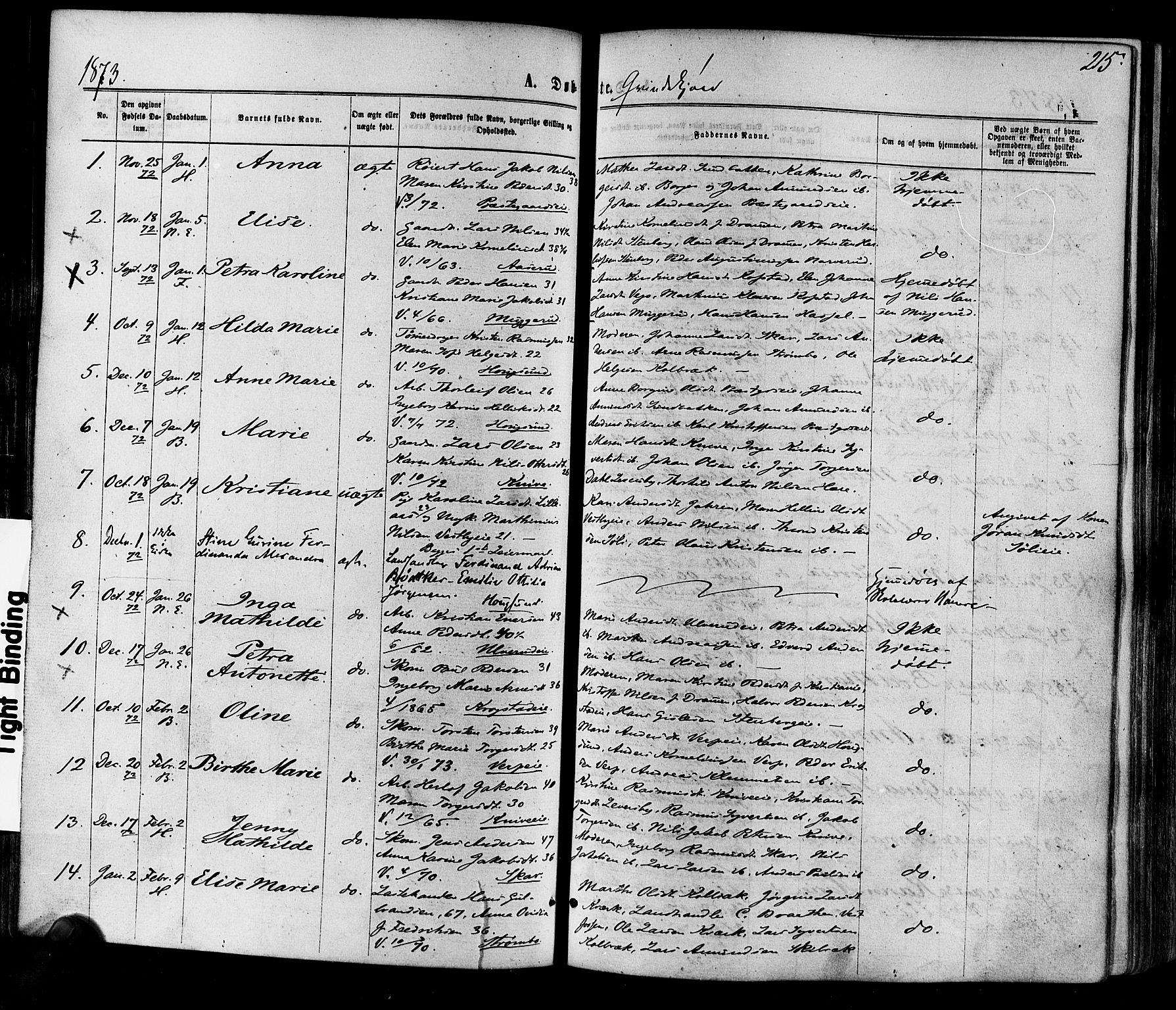 Eiker kirkebøker, SAKO/A-4/F/Fa/L0017: Parish register (official) no. I 17, 1869-1877, p. 215