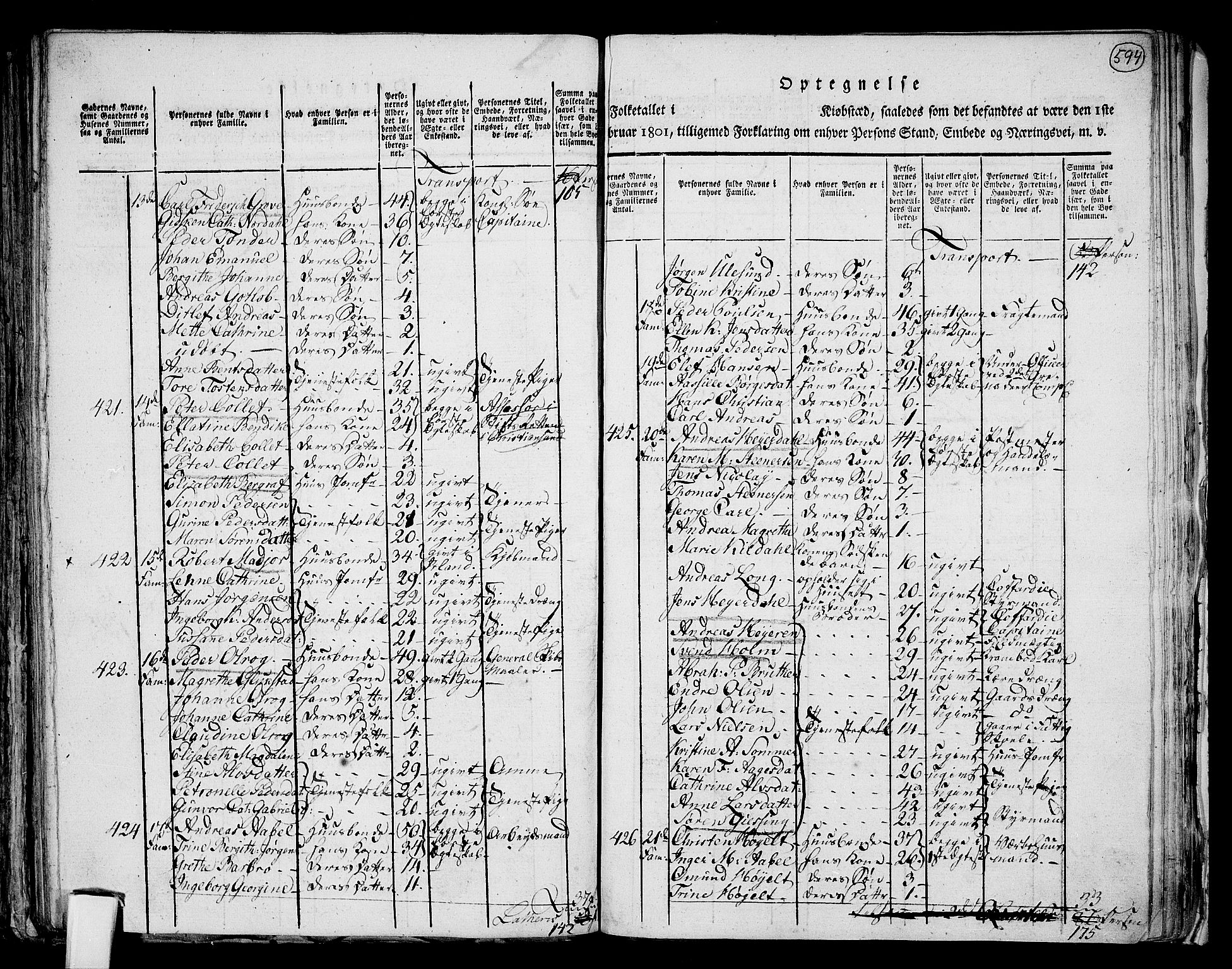 RA, 1801 census for 1001P Kristiansand, 1801, p. 593b-594a