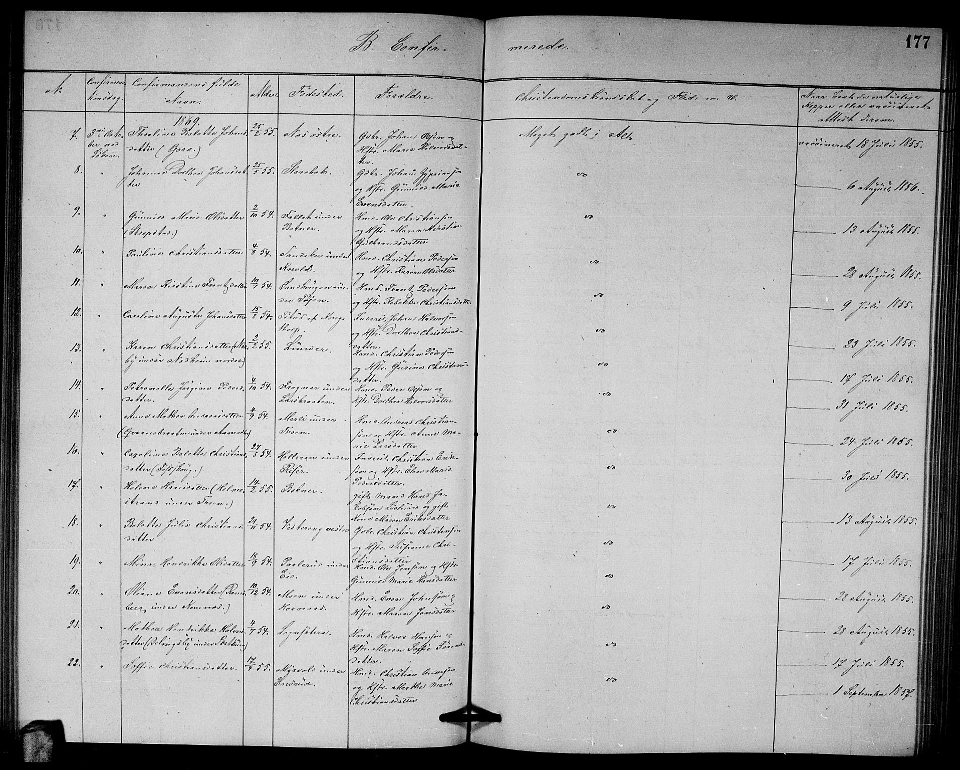 Høland prestekontor Kirkebøker, AV/SAO-A-10346a/G/Ga/L0006: Parish register (copy) no. I 6, 1869-1879, p. 177