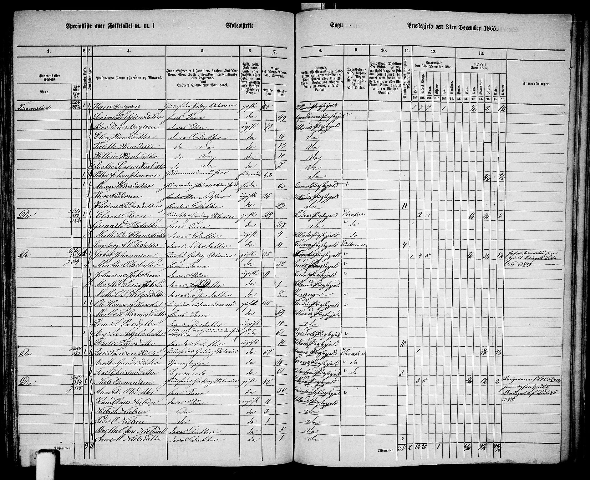 RA, 1865 census for Hetland, 1865, p. 175