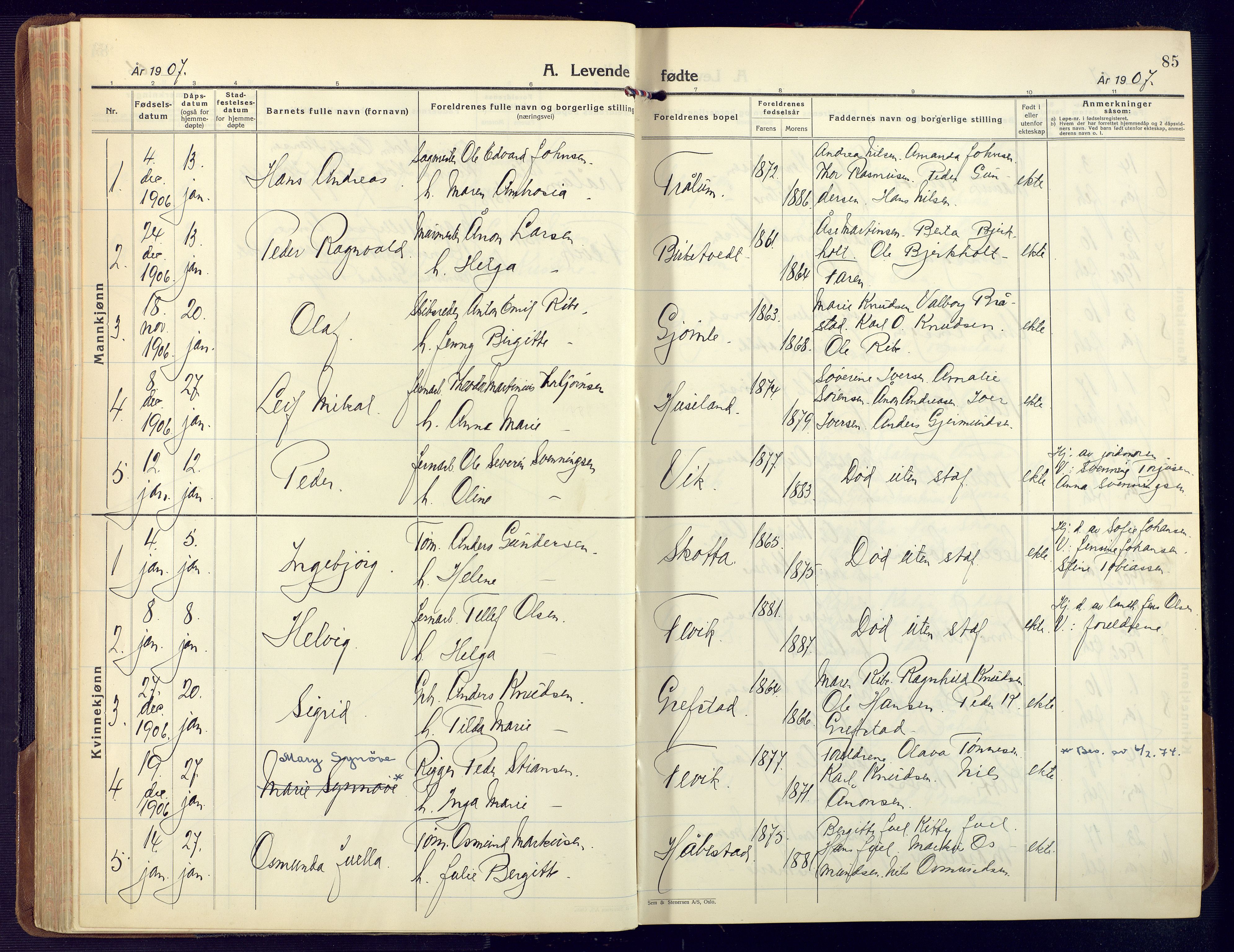 Fjære sokneprestkontor, SAK/1111-0011/F/Fa/L0004: Parish register (official) no. A 4, 1902-1925, p. 85