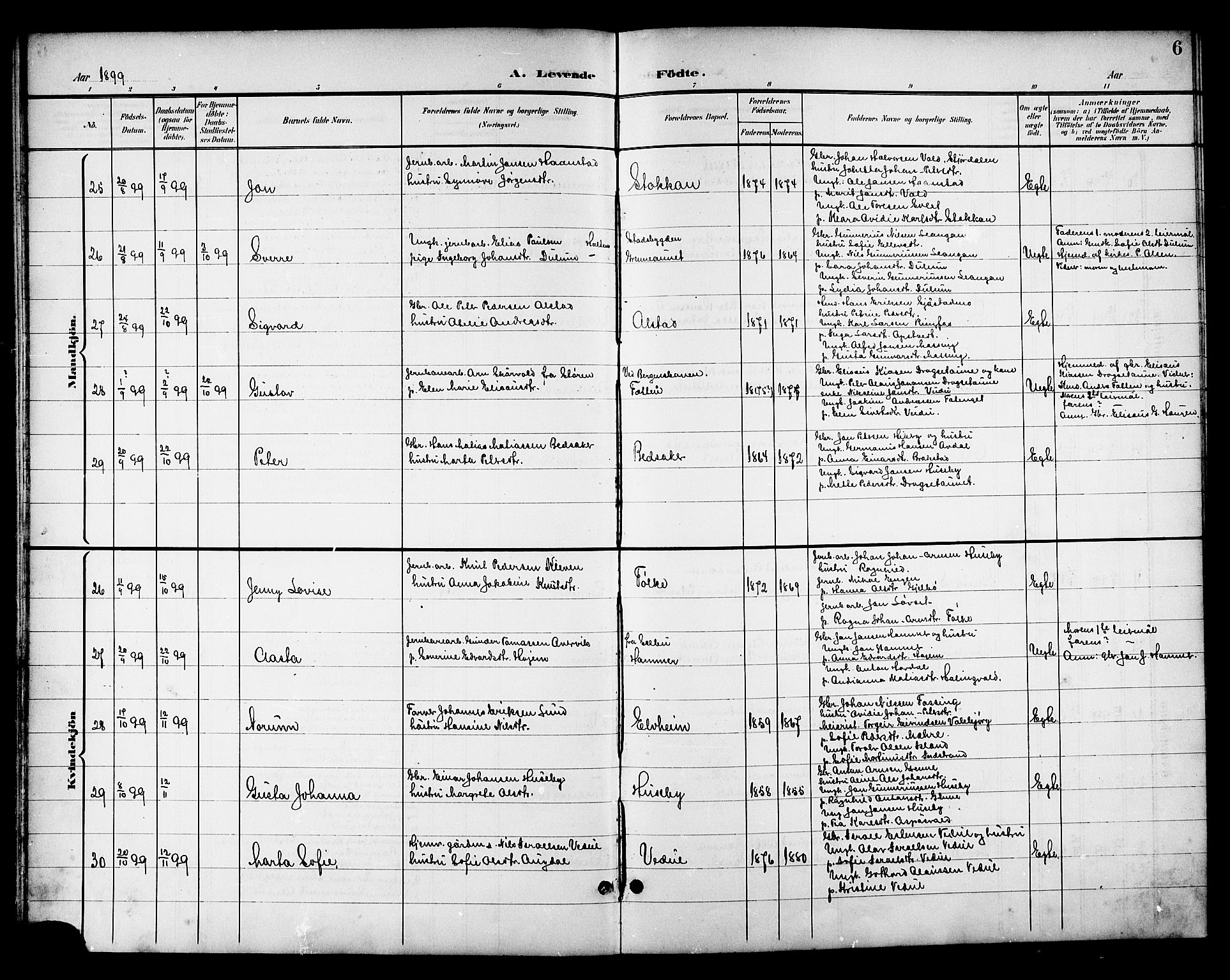 Ministerialprotokoller, klokkerbøker og fødselsregistre - Nord-Trøndelag, SAT/A-1458/714/L0135: Parish register (copy) no. 714C04, 1899-1918, p. 6