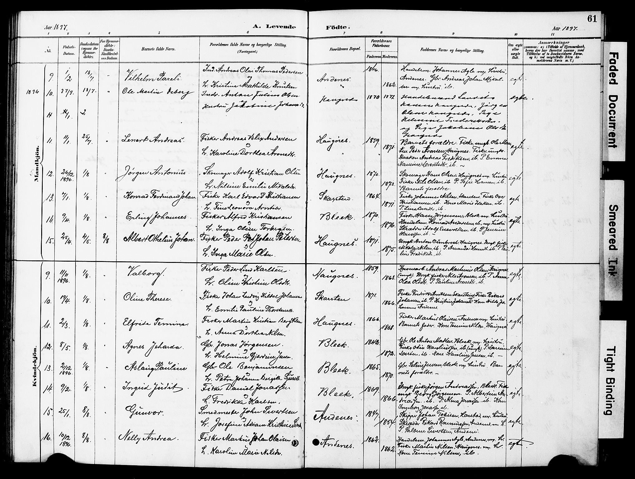 Ministerialprotokoller, klokkerbøker og fødselsregistre - Nordland, AV/SAT-A-1459/899/L1448: Parish register (copy) no. 899C03, 1887-1902, p. 61