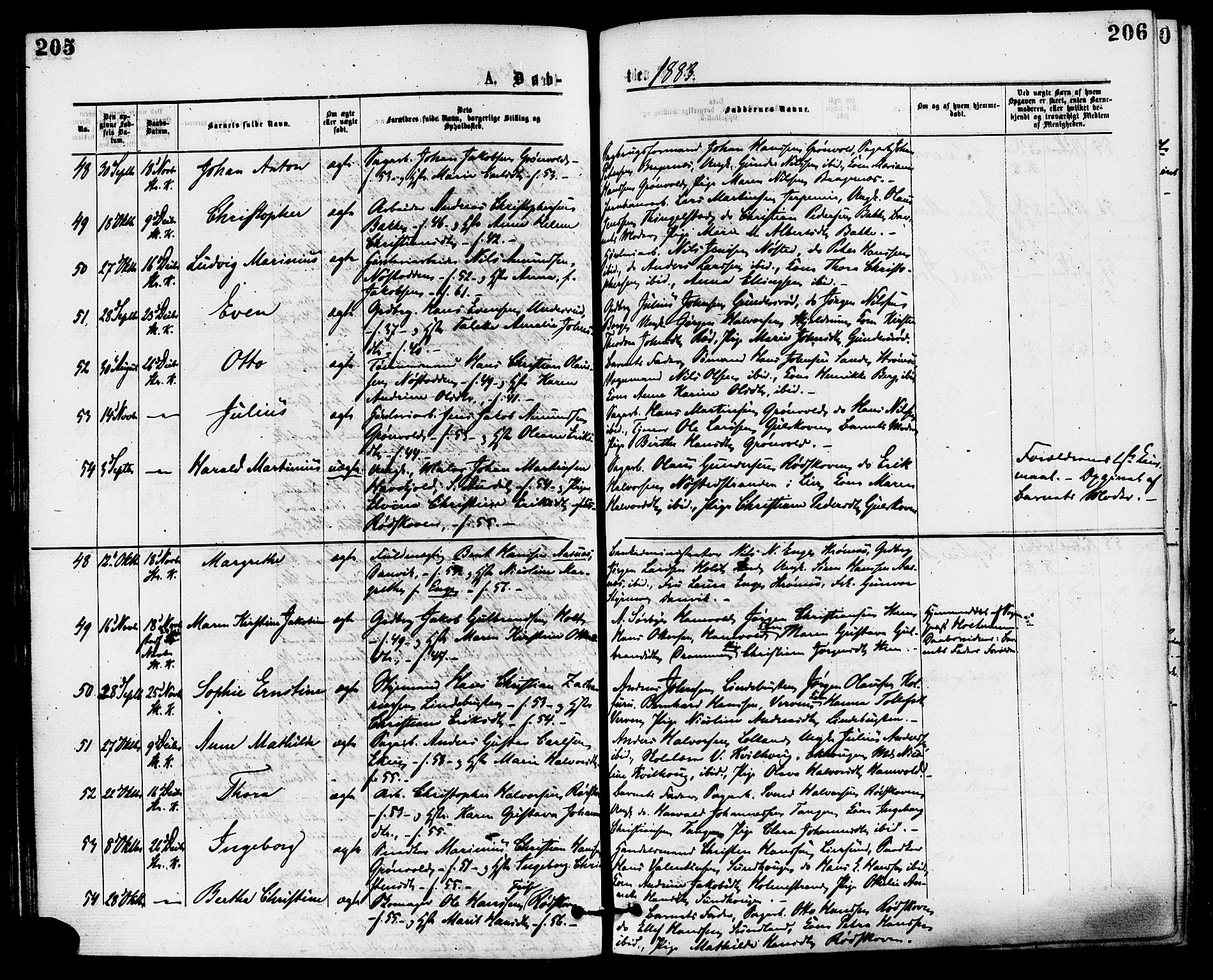Skoger kirkebøker, SAKO/A-59/F/Fa/L0005: Parish register (official) no. I 5, 1873-1884, p. 205-206