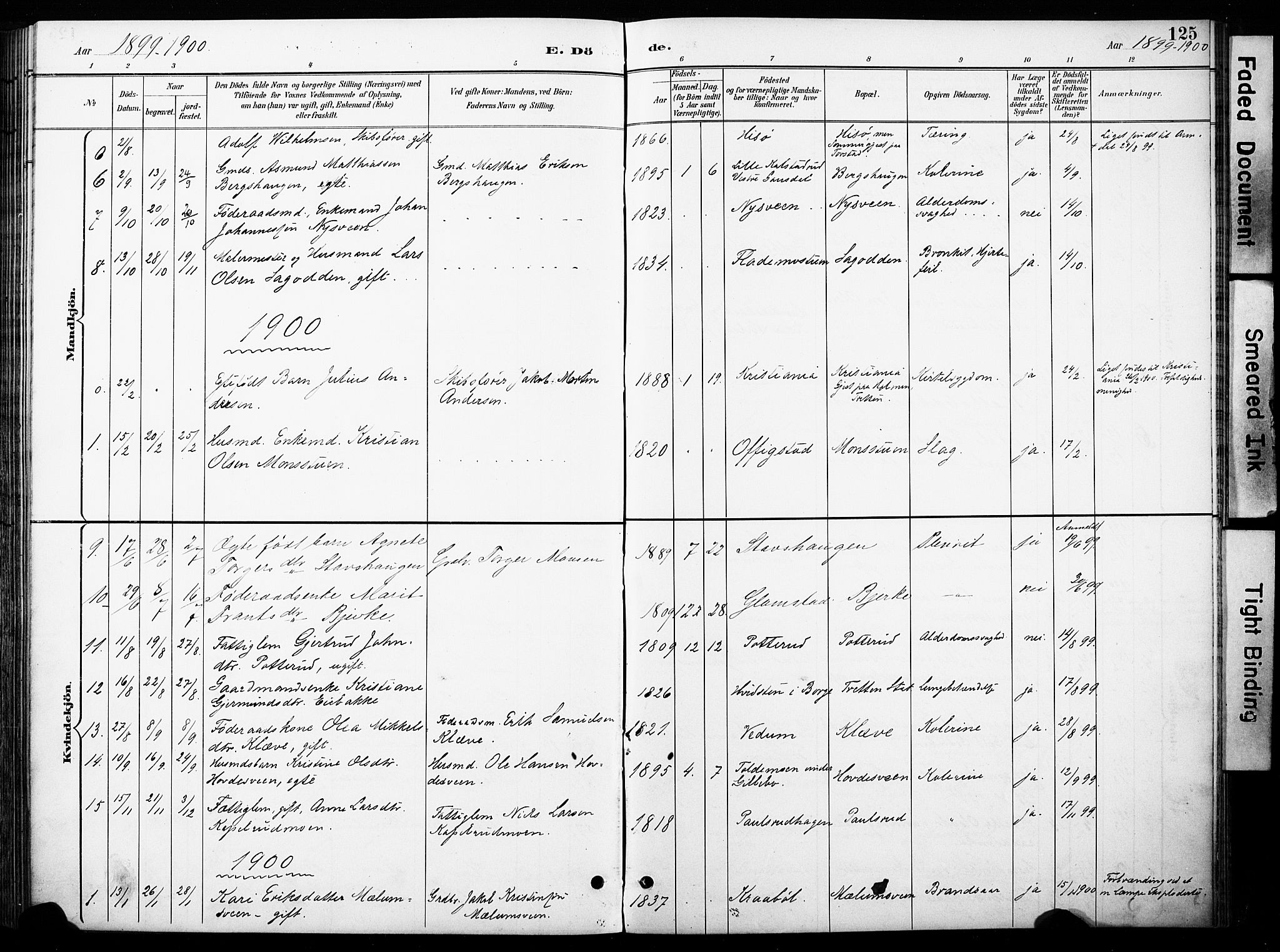 Øyer prestekontor, AV/SAH-PREST-084/H/Ha/Haa/L0011: Parish register (official) no. 11, 1894-1905, p. 125
