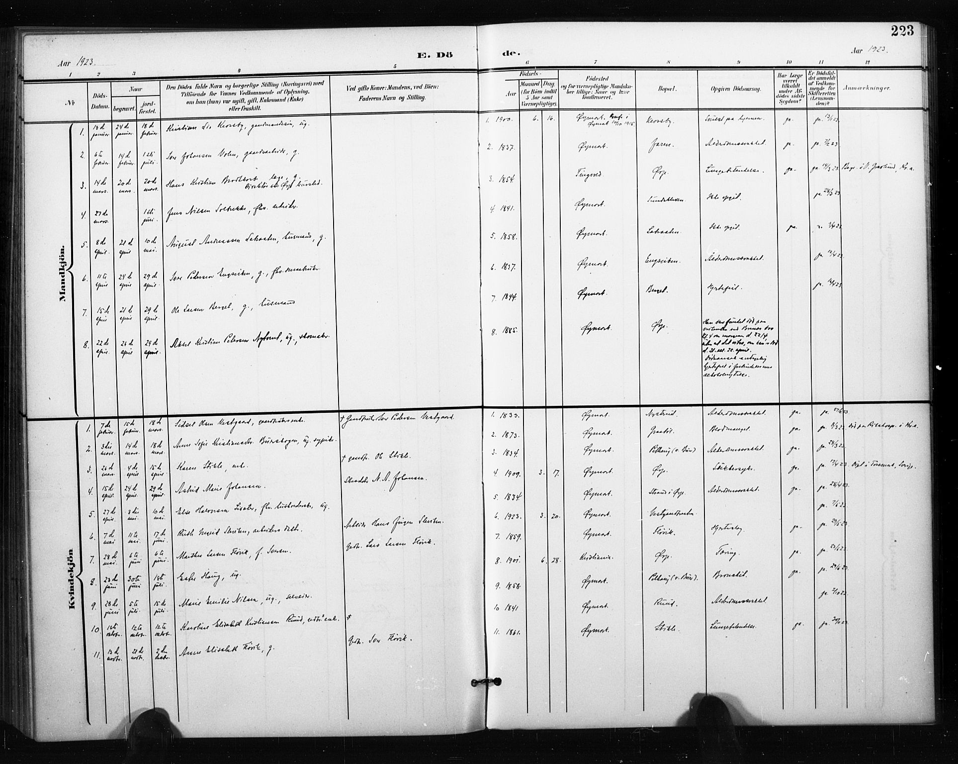 Aremark prestekontor Kirkebøker, AV/SAO-A-10899/G/Gb/L0001: Parish register (copy) no. II 1, 1901-1927, p. 223