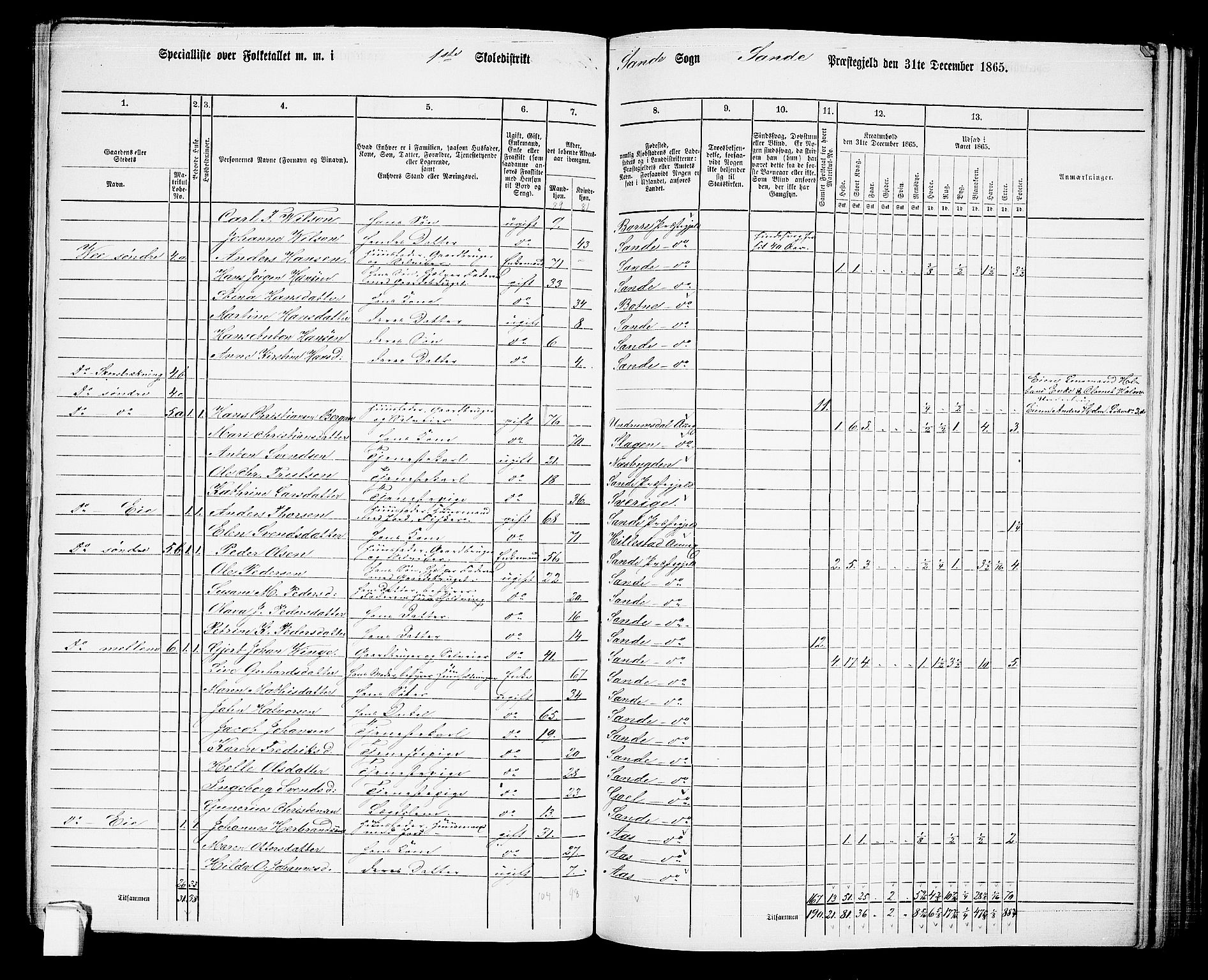 RA, 1865 census for Sande, 1865, p. 14