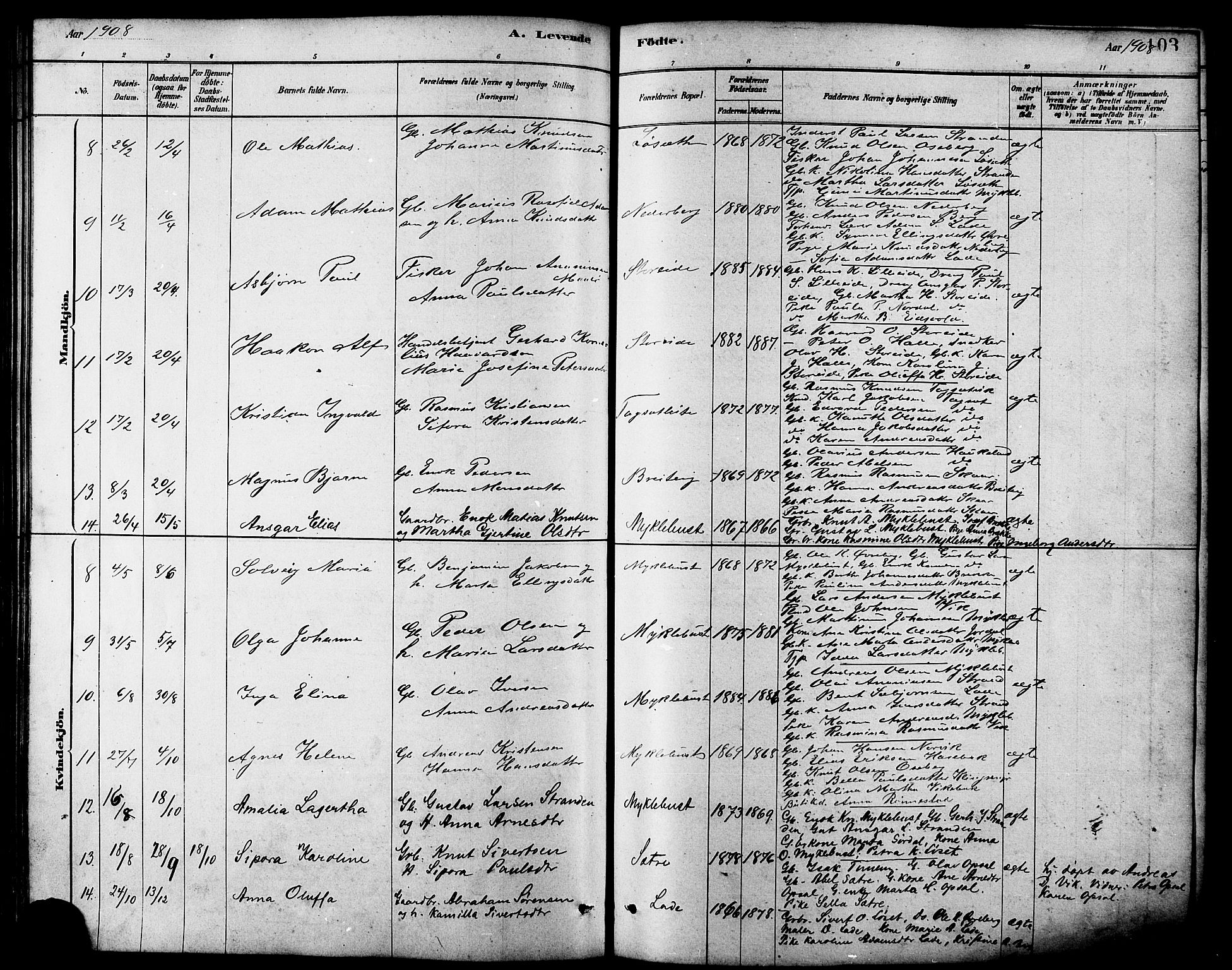 Ministerialprotokoller, klokkerbøker og fødselsregistre - Møre og Romsdal, AV/SAT-A-1454/502/L0027: Parish register (copy) no. 502C01, 1878-1908, p. 103