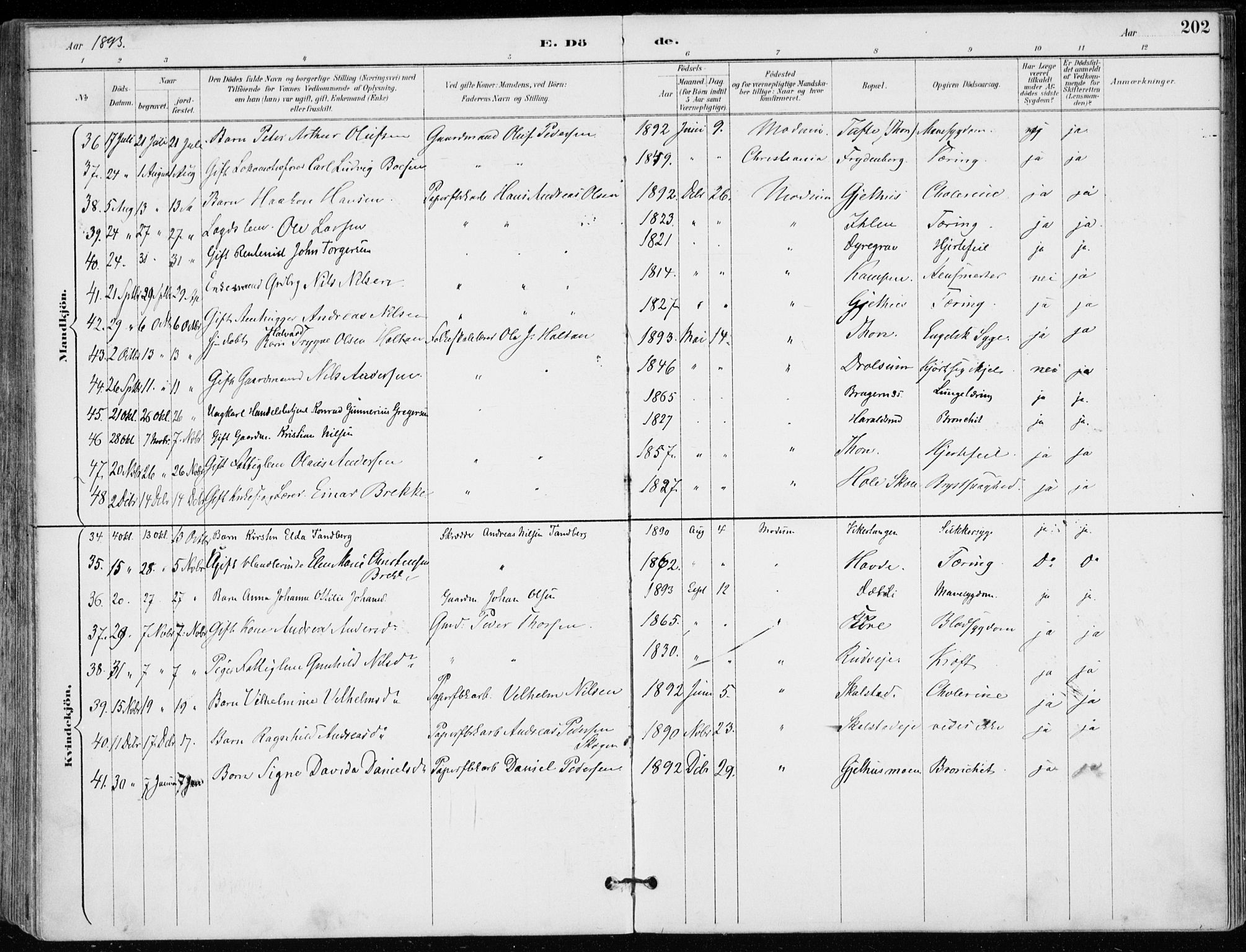 Modum kirkebøker, AV/SAKO-A-234/F/Fa/L0012: Parish register (official) no. 12, 1890-1898, p. 202