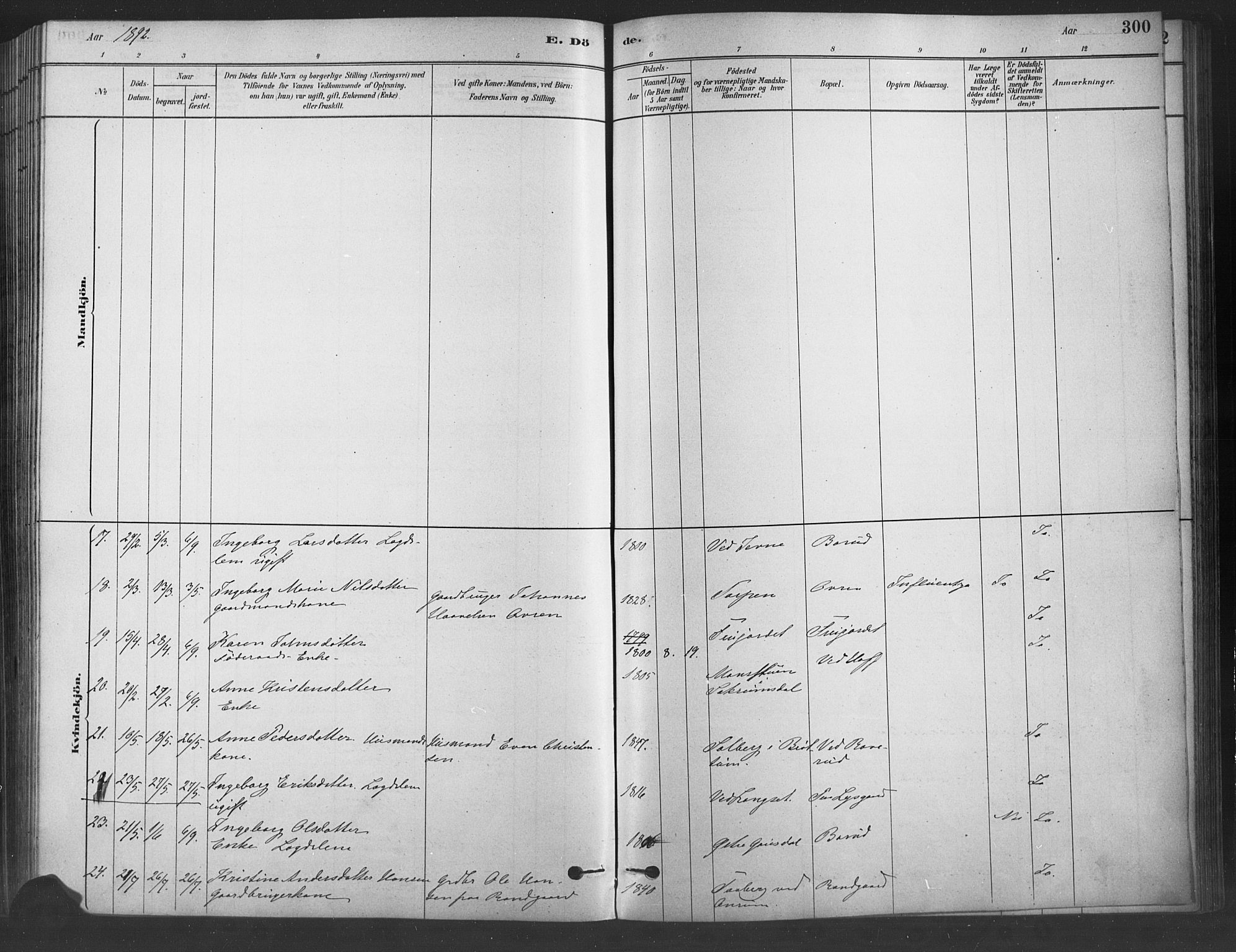 Fåberg prestekontor, SAH/PREST-086/H/Ha/Haa/L0009: Parish register (official) no. 9, 1879-1898, p. 300