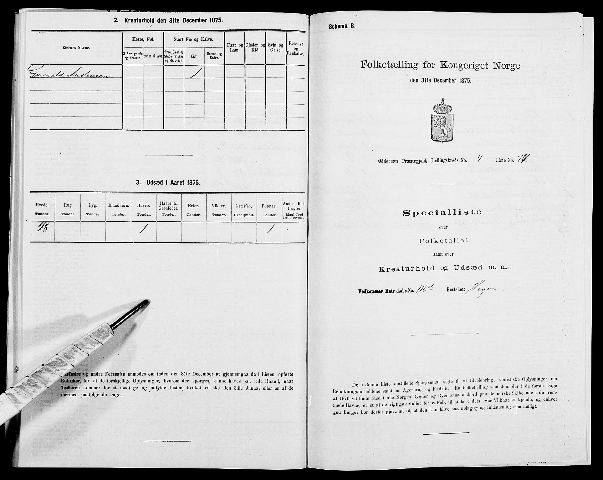 SAK, 1875 census for 1012P Oddernes, 1875, p. 716