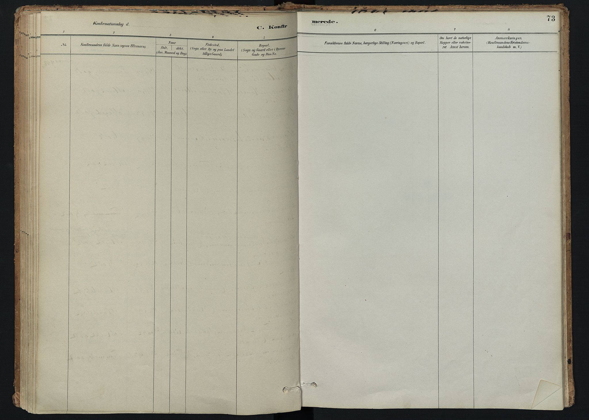 Hedrum kirkebøker, AV/SAKO-A-344/F/Fc/L0001: Parish register (official) no. III 1, 1881-1906, p. 73