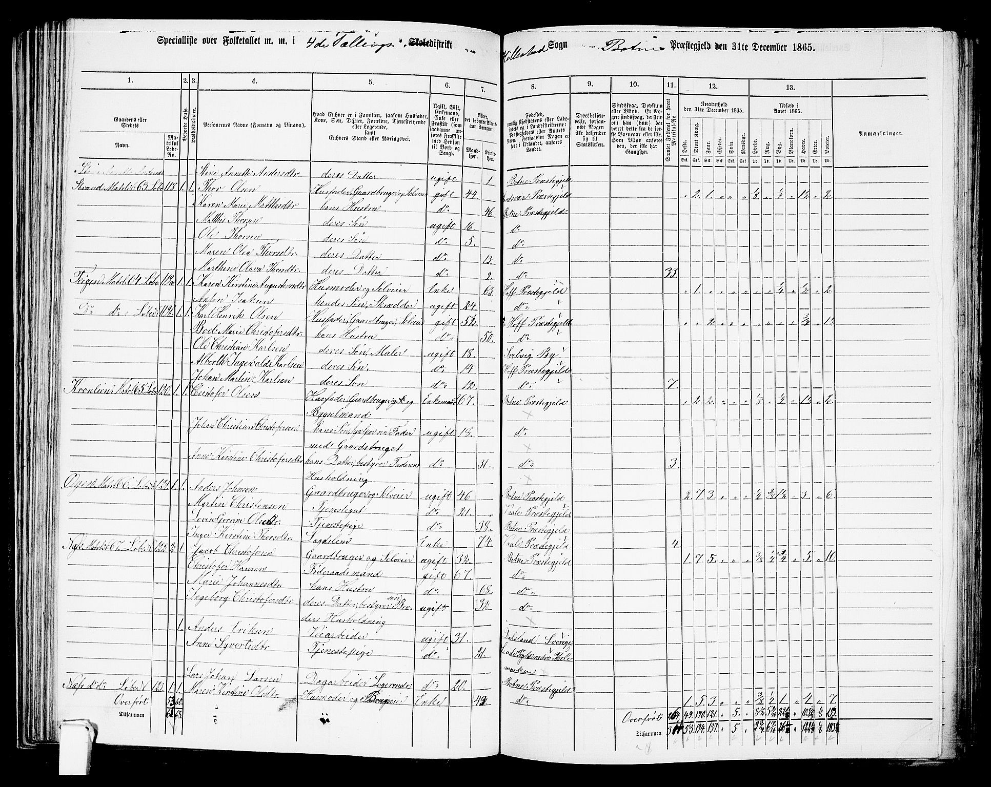 RA, 1865 census for Botne/Botne og Hillestad, 1865, p. 81