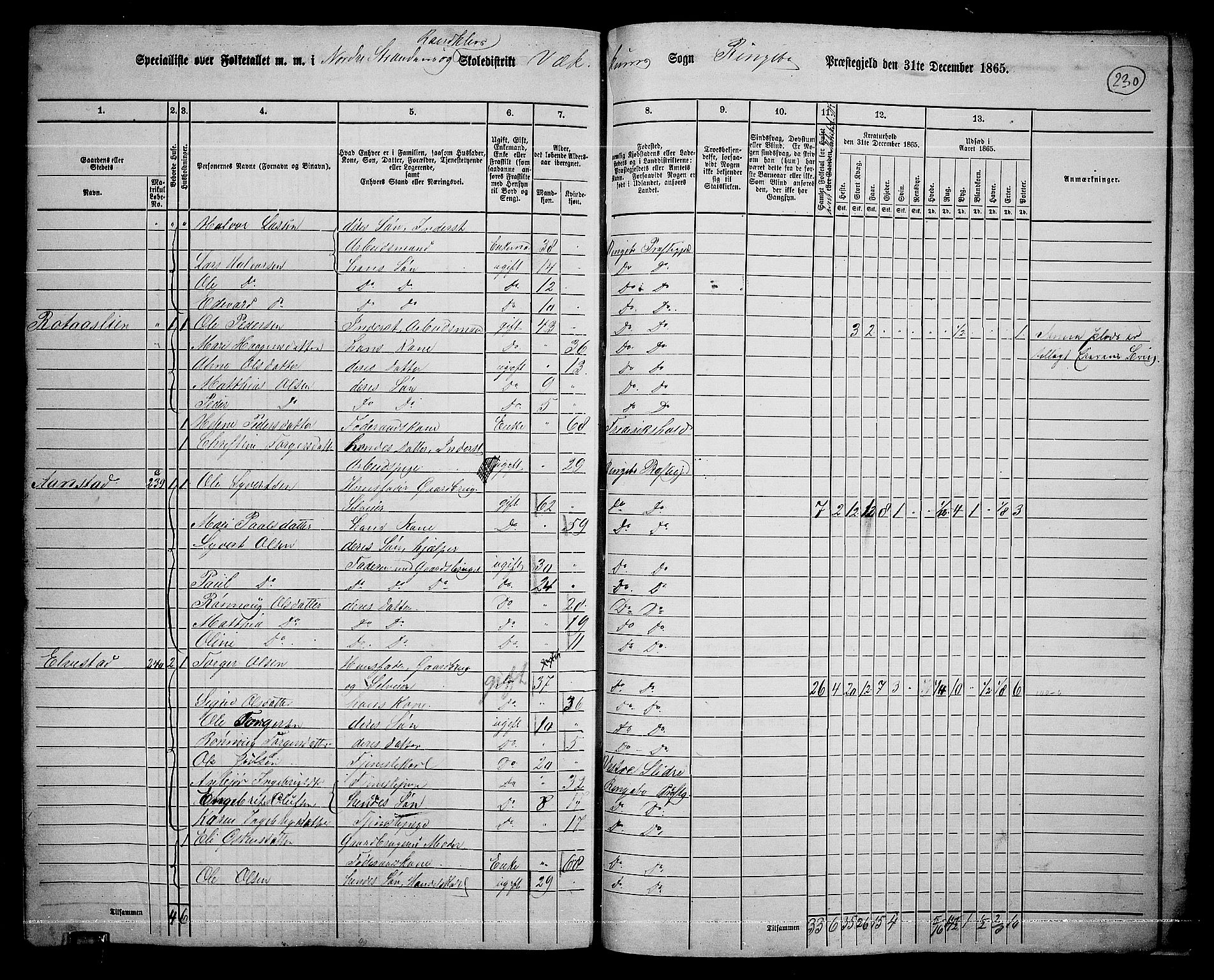 RA, 1865 census for Ringebu, 1865, p. 201