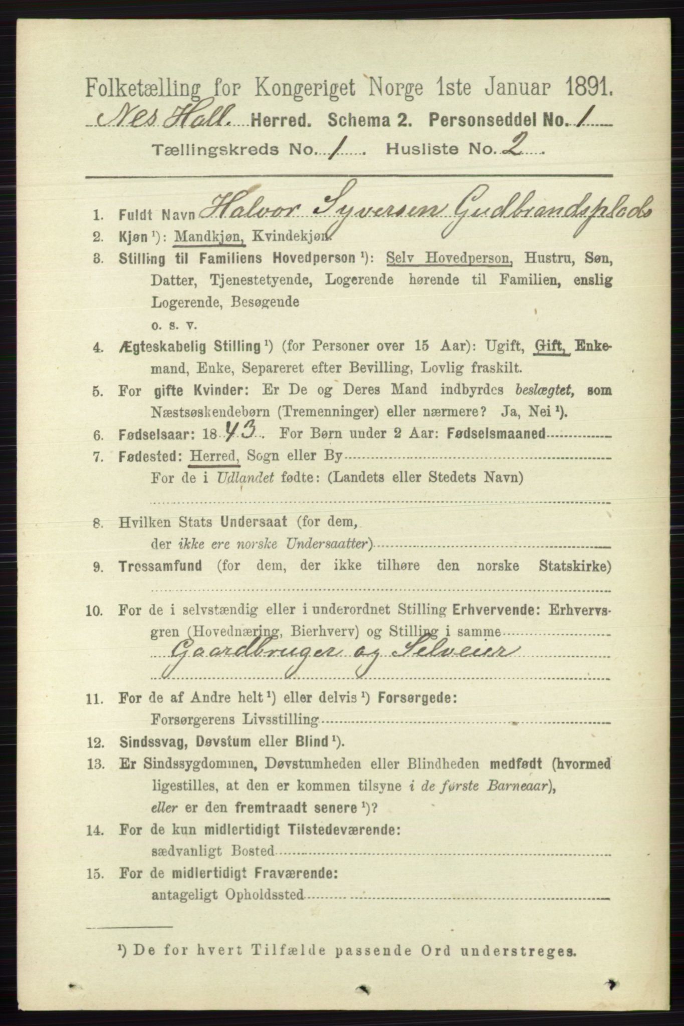 RA, 1891 census for 0616 Nes, 1891, p. 179