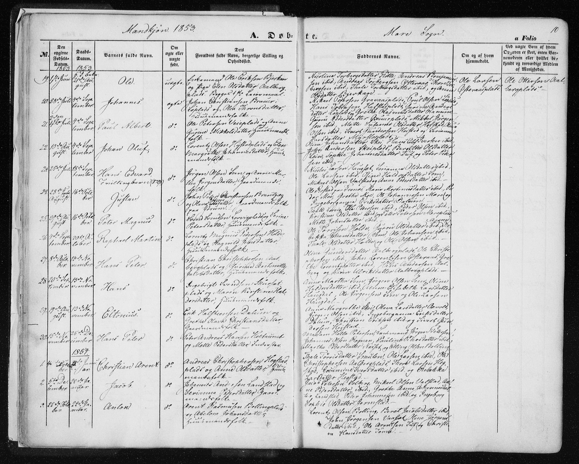 Ministerialprotokoller, klokkerbøker og fødselsregistre - Nord-Trøndelag, SAT/A-1458/735/L0342: Parish register (official) no. 735A07 /1, 1849-1862, p. 10