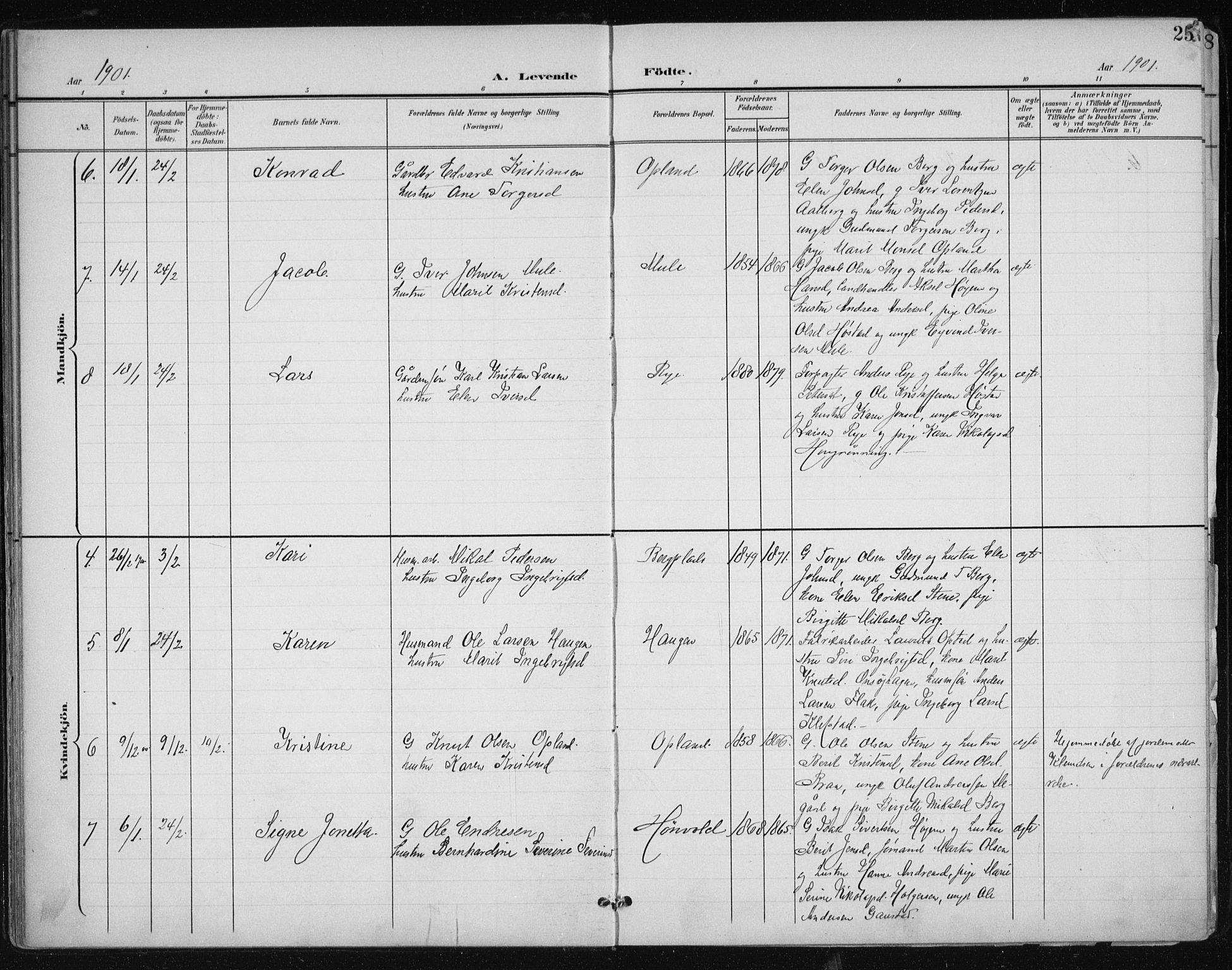 Ministerialprotokoller, klokkerbøker og fødselsregistre - Sør-Trøndelag, AV/SAT-A-1456/612/L0380: Parish register (official) no. 612A12, 1898-1907, p. 25