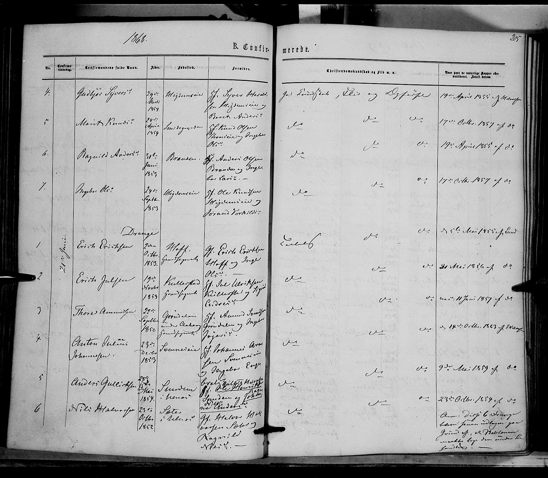 Nord-Aurdal prestekontor, SAH/PREST-132/H/Ha/Haa/L0008: Parish register (official) no. 8, 1863-1875, p. 205