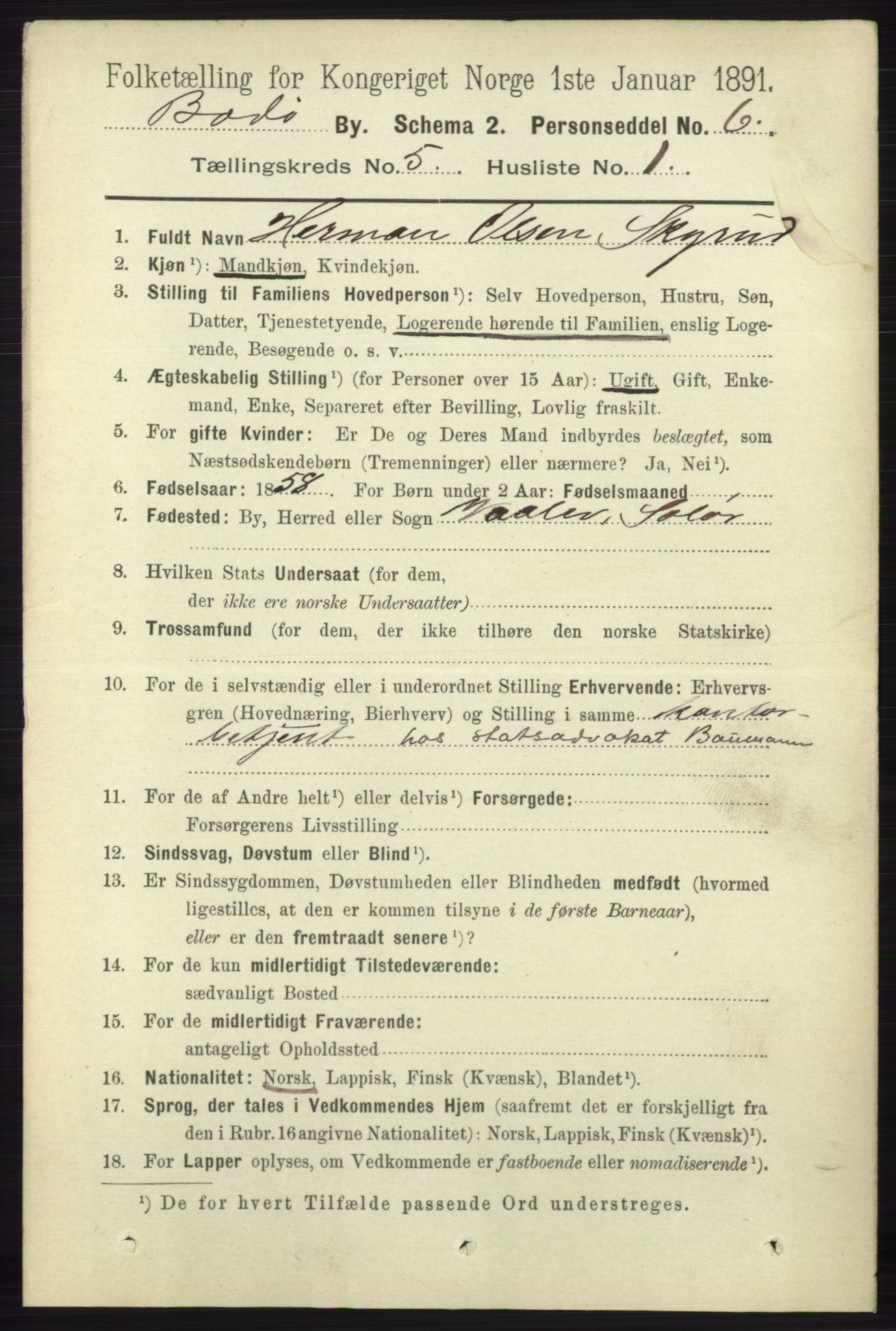 RA, 1891 census for 1804 Bodø, 1891, p. 3911