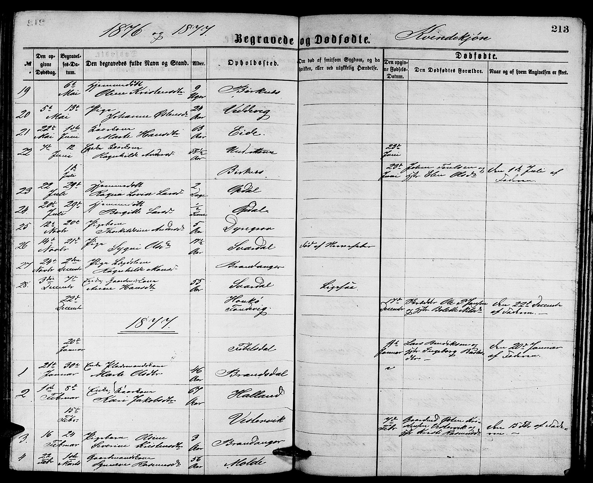 Gulen sokneprestembete, SAB/A-80201/H/Hab/Habb/L0002: Parish register (copy) no. B 2, 1867-1883, p. 213