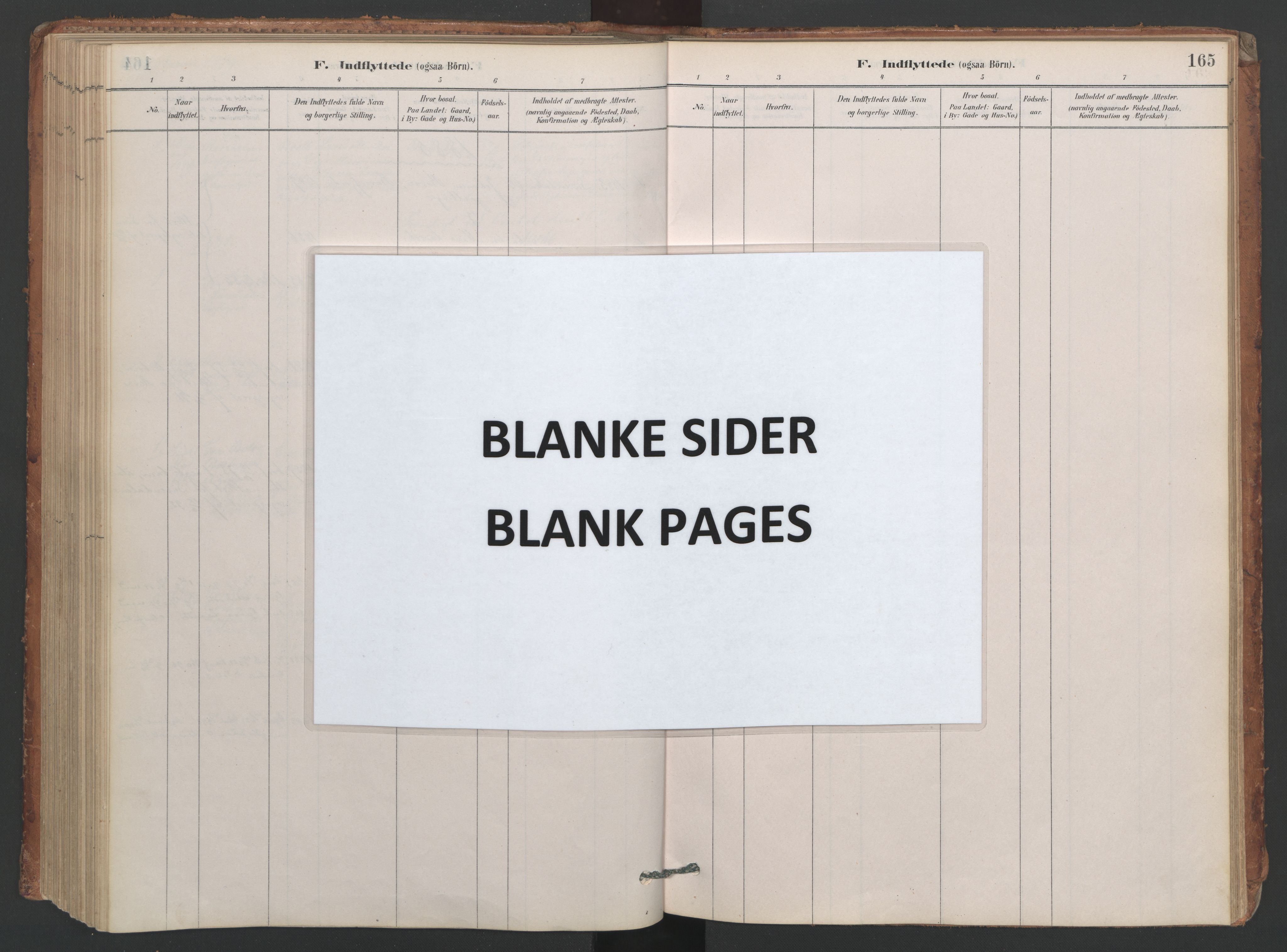 Ministerialprotokoller, klokkerbøker og fødselsregistre - Møre og Romsdal, AV/SAT-A-1454/594/L1036: Parish register (official) no. 594A02 (?), 1879-1910, p. 165