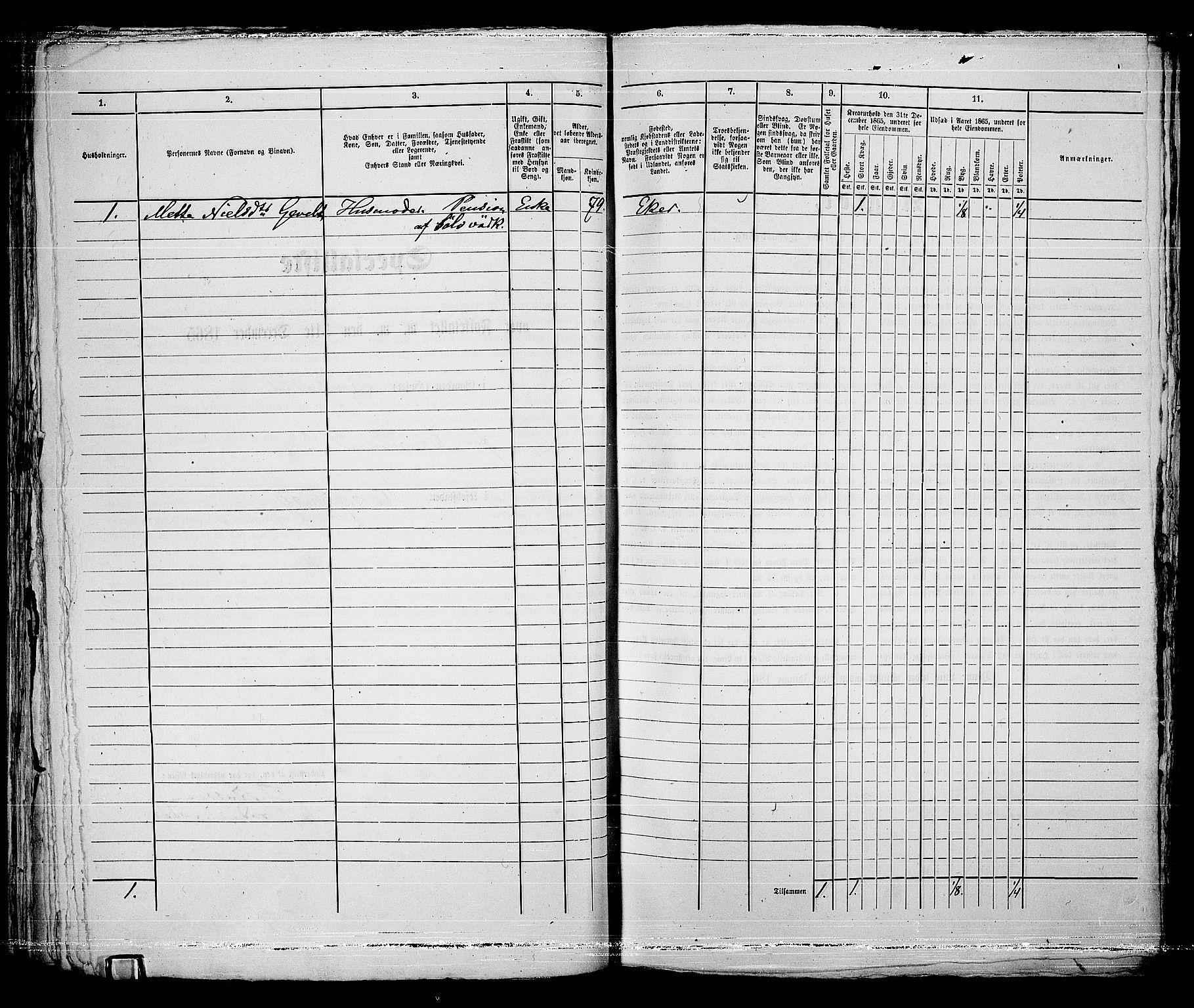 RA, 1865 census for Kongsberg/Kongsberg, 1865, p. 680