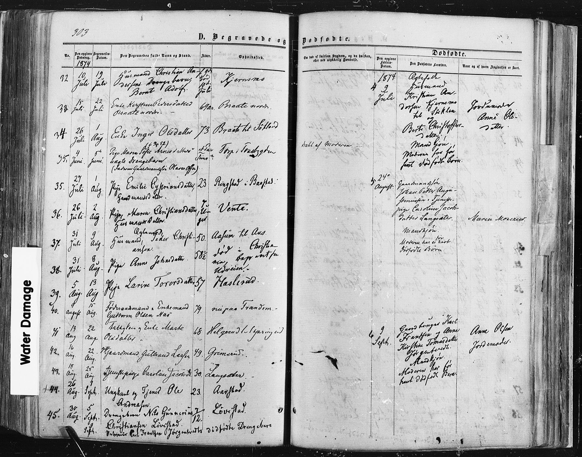 Trøgstad prestekontor Kirkebøker, SAO/A-10925/F/Fa/L0009: Parish register (official) no. I 9, 1865-1877, p. 303