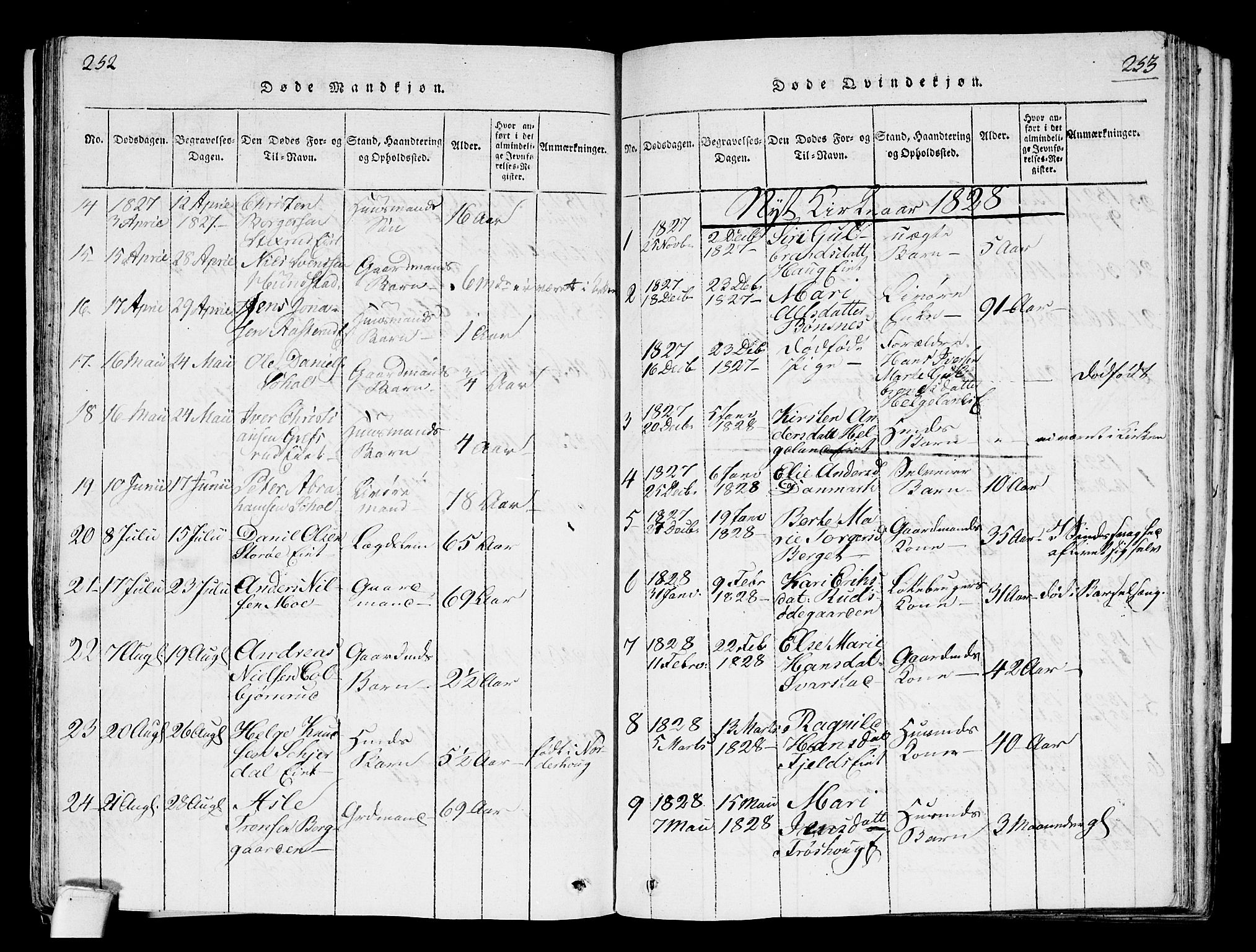 Hole kirkebøker, SAKO/A-228/F/Fa/L0004: Parish register (official) no. I 4, 1814-1833, p. 252-253