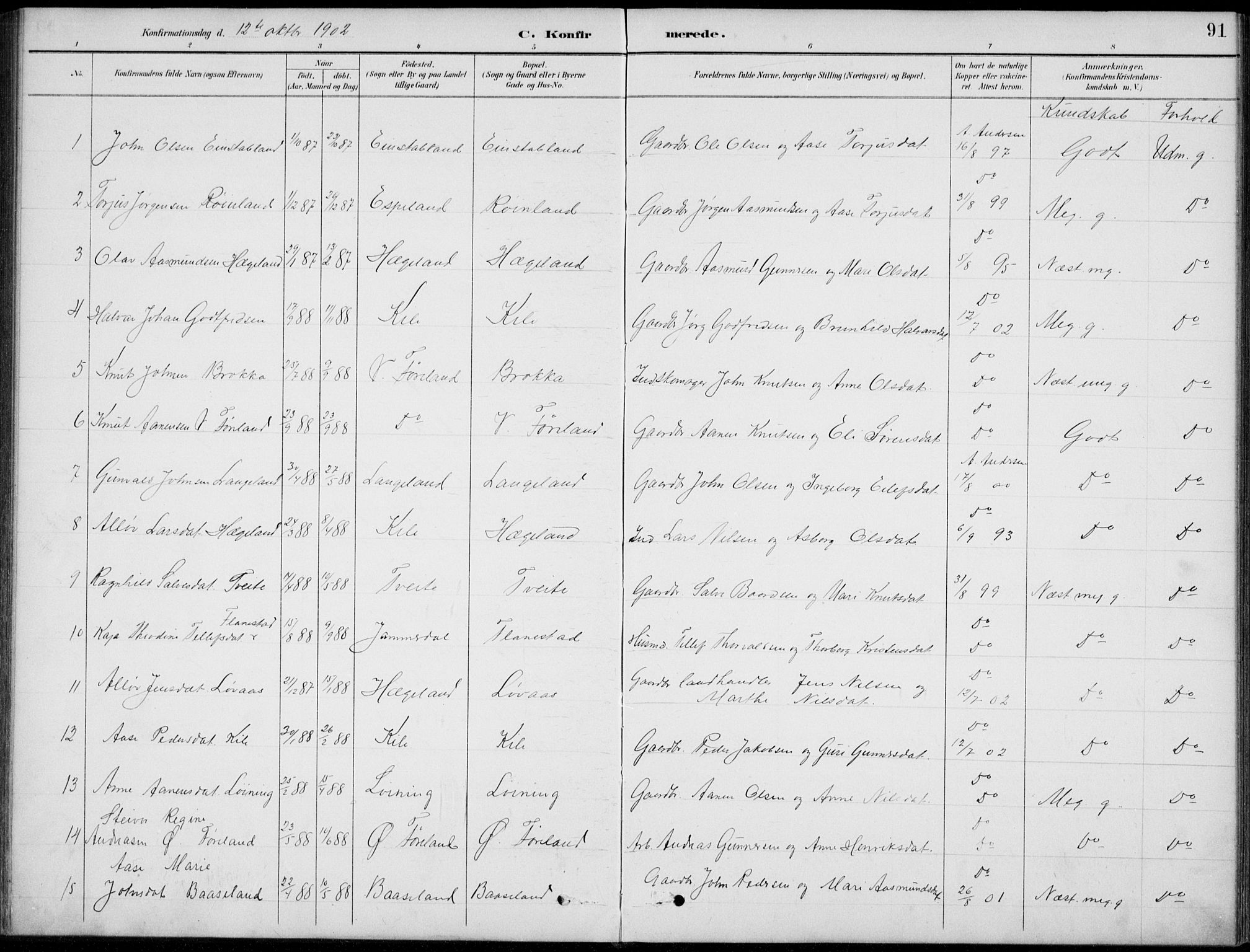 Vennesla sokneprestkontor, AV/SAK-1111-0045/Fb/Fba/L0003: Parish register (copy) no. B 3, 1890-1919, p. 91