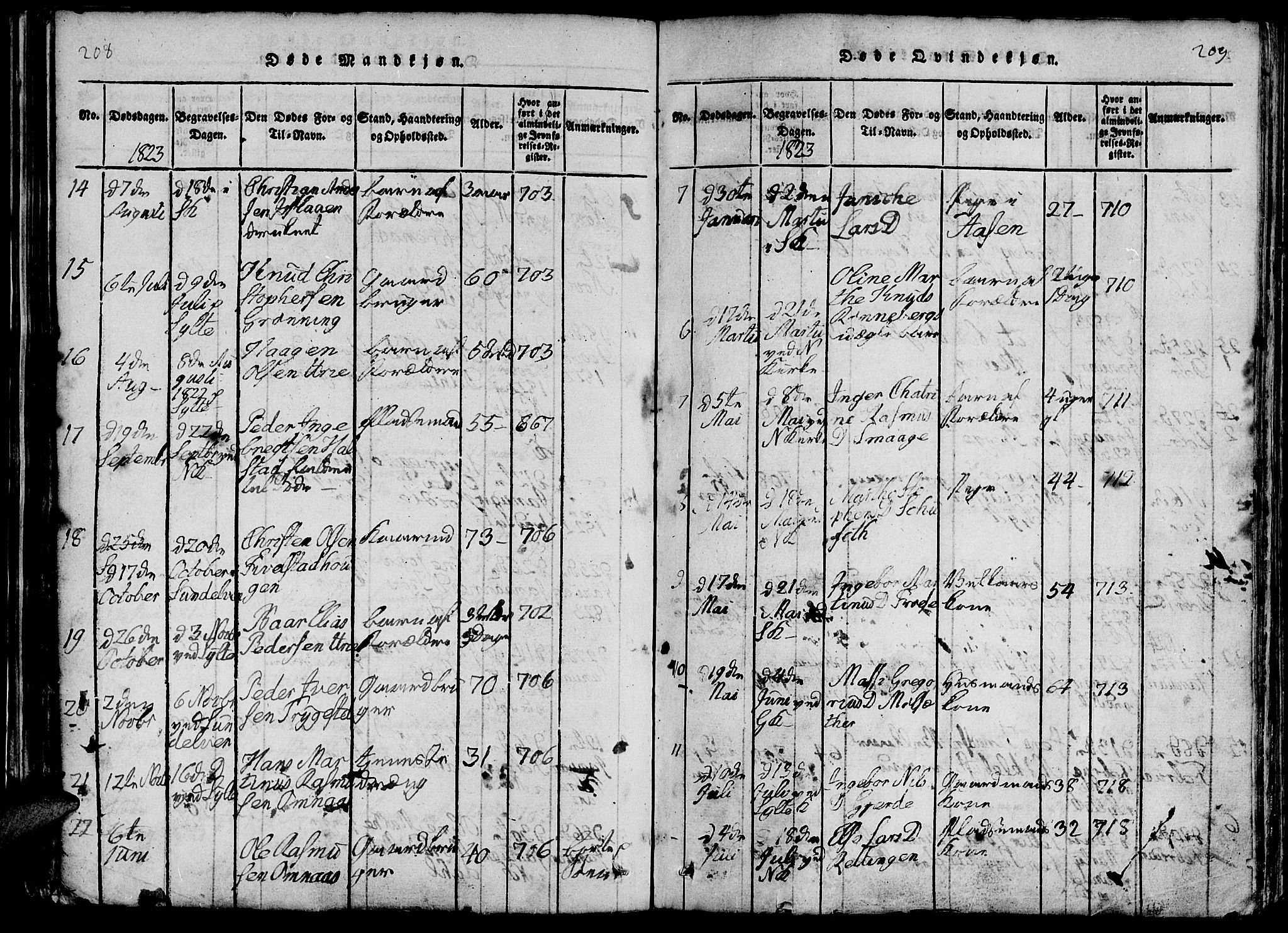 Ministerialprotokoller, klokkerbøker og fødselsregistre - Møre og Romsdal, SAT/A-1454/519/L0260: Parish register (copy) no. 519C01, 1817-1829, p. 208-209