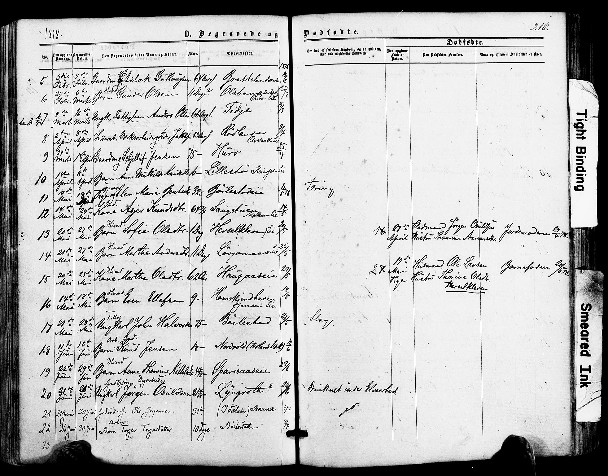 Froland sokneprestkontor, SAK/1111-0013/F/Fa/L0003: Parish register (official) no. A 3, 1864-1881, p. 216