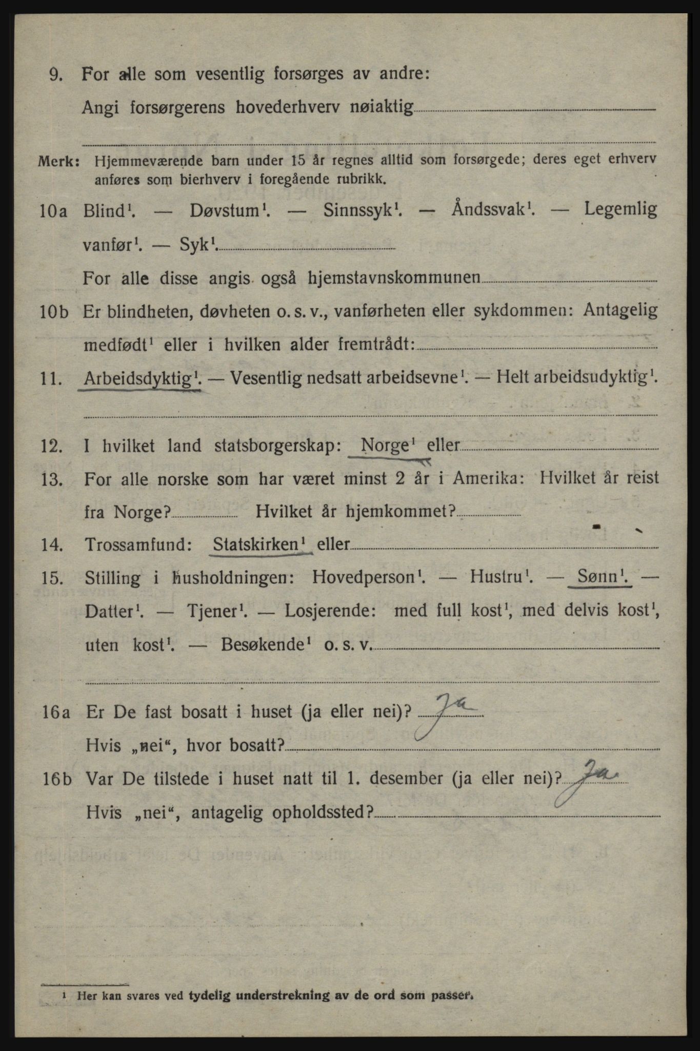 SAO, 1920 census for Skjeberg, 1920, p. 6594