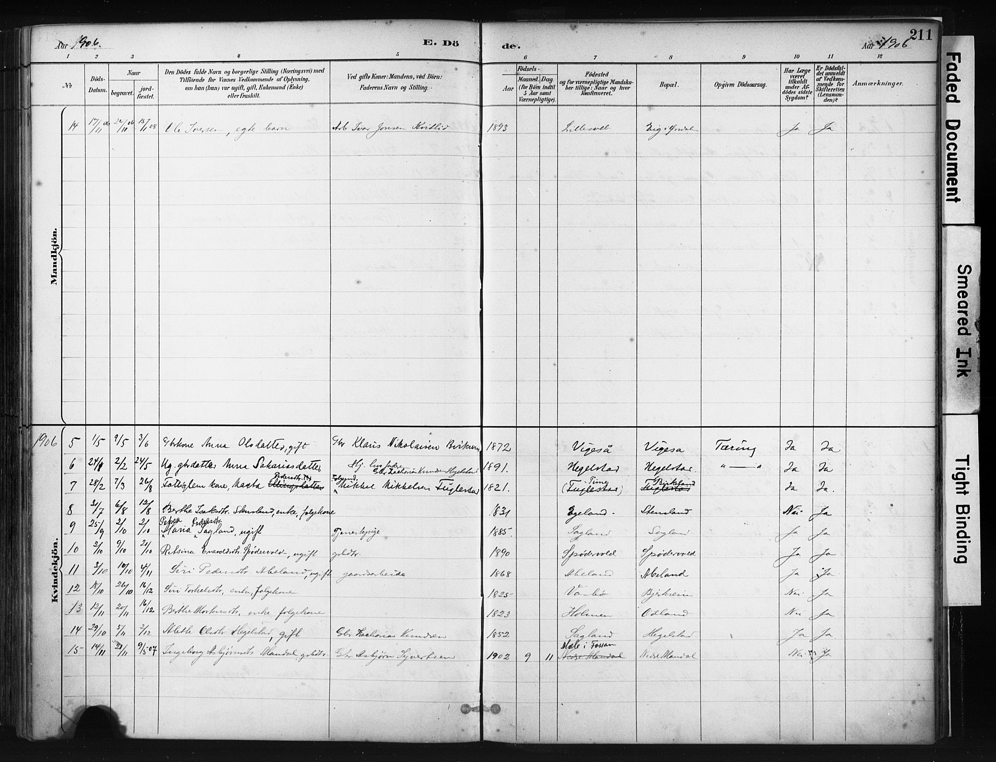 Helleland sokneprestkontor, AV/SAST-A-101810: Parish register (official) no. A 9, 1887-1908, p. 211