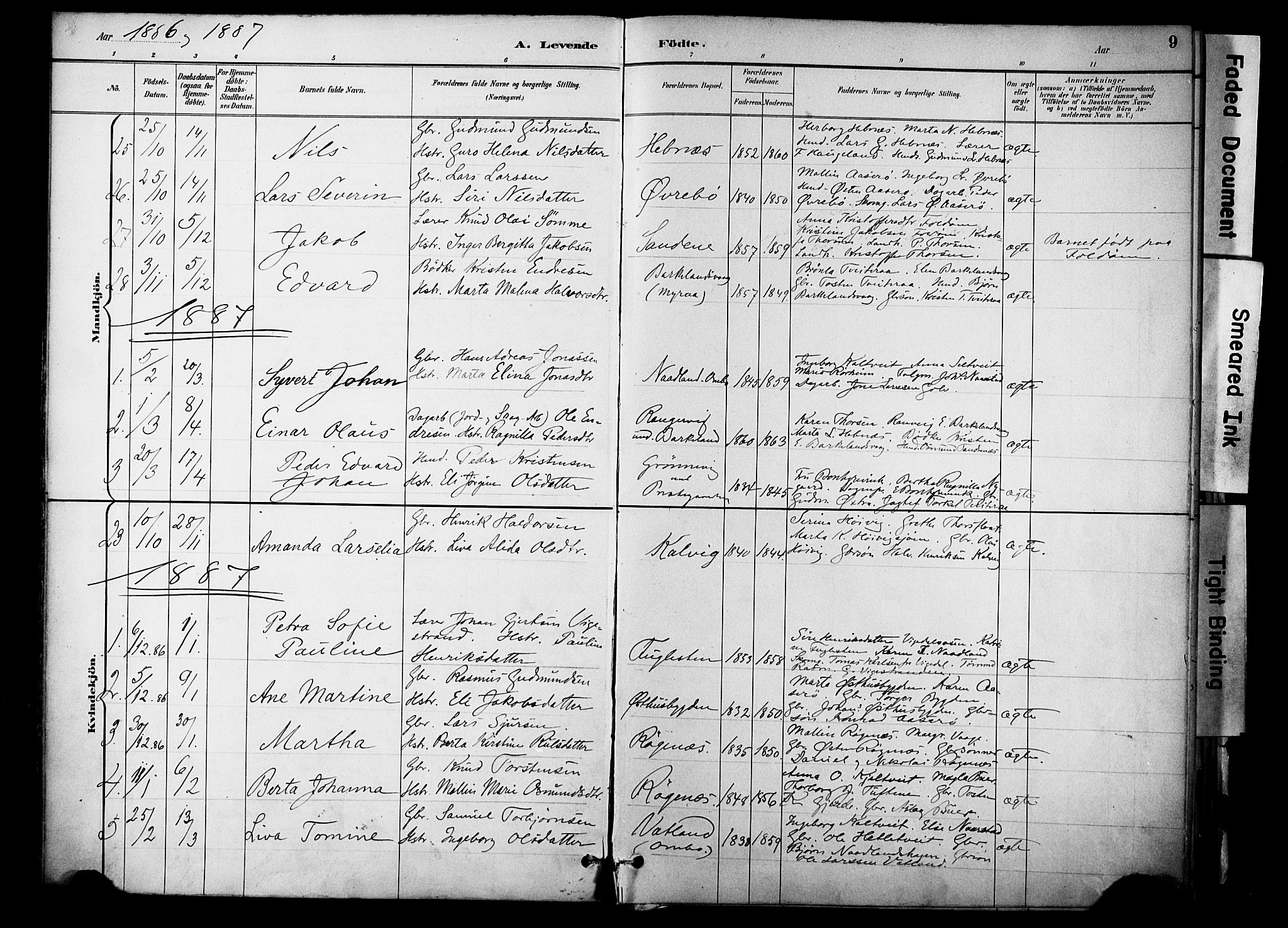 Jelsa sokneprestkontor, AV/SAST-A-101842/01/IV: Parish register (official) no. A 10, 1884-1906, p. 9