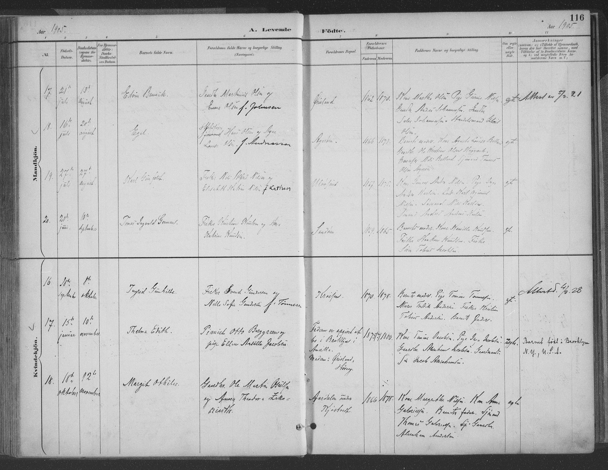 Høvåg sokneprestkontor, AV/SAK-1111-0025/F/Fa/L0006: Parish register (official) no. A 6, 1894-1923, p. 116