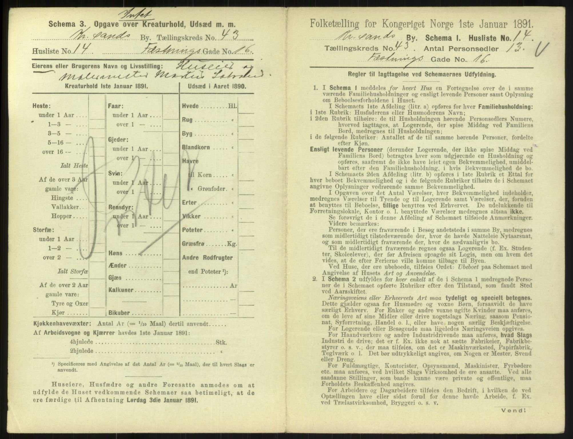 RA, 1891 census for 1001 Kristiansand, 1891, p. 2334