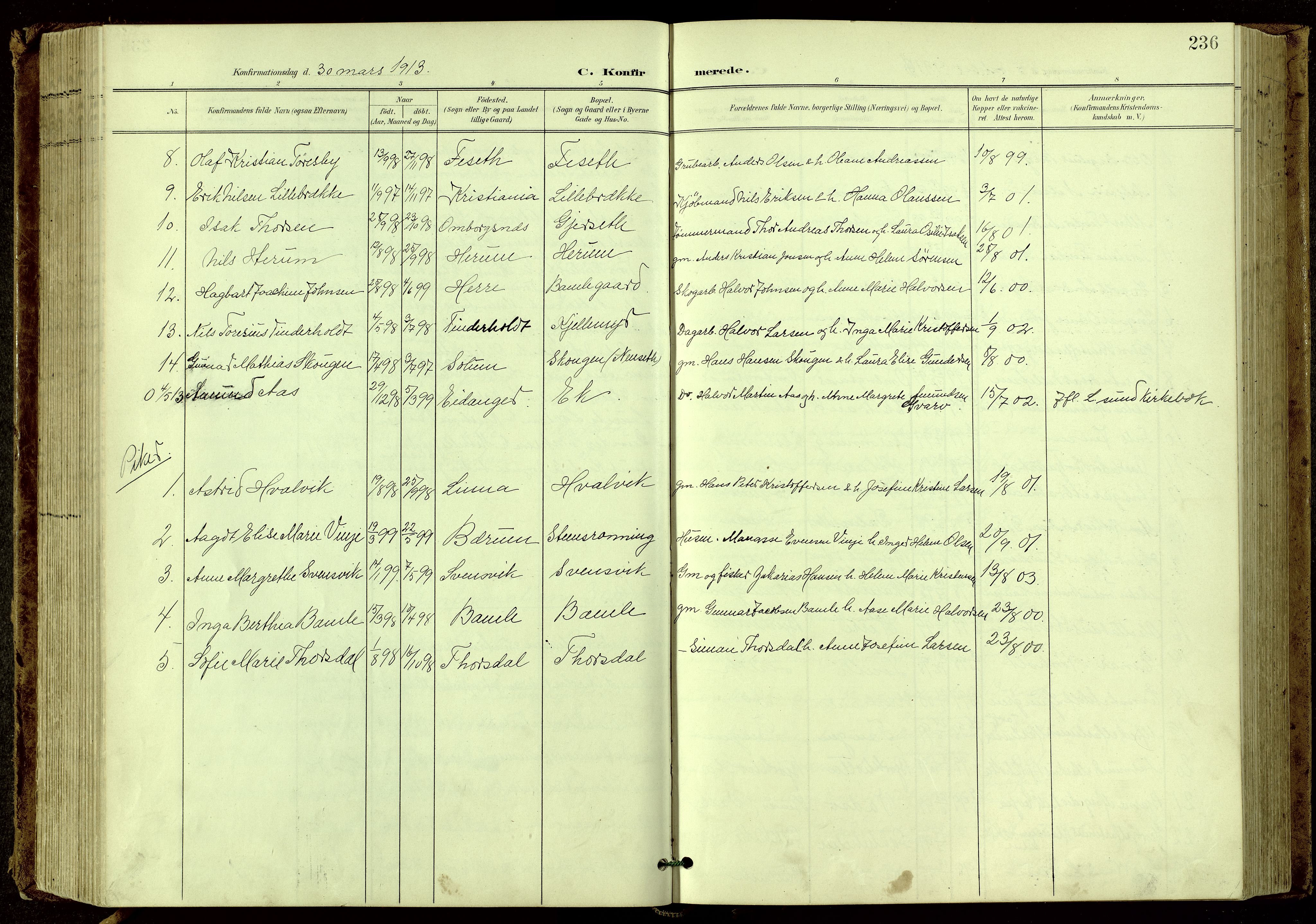Bamble kirkebøker, SAKO/A-253/G/Ga/L0010: Parish register (copy) no. I 10, 1901-1919, p. 236