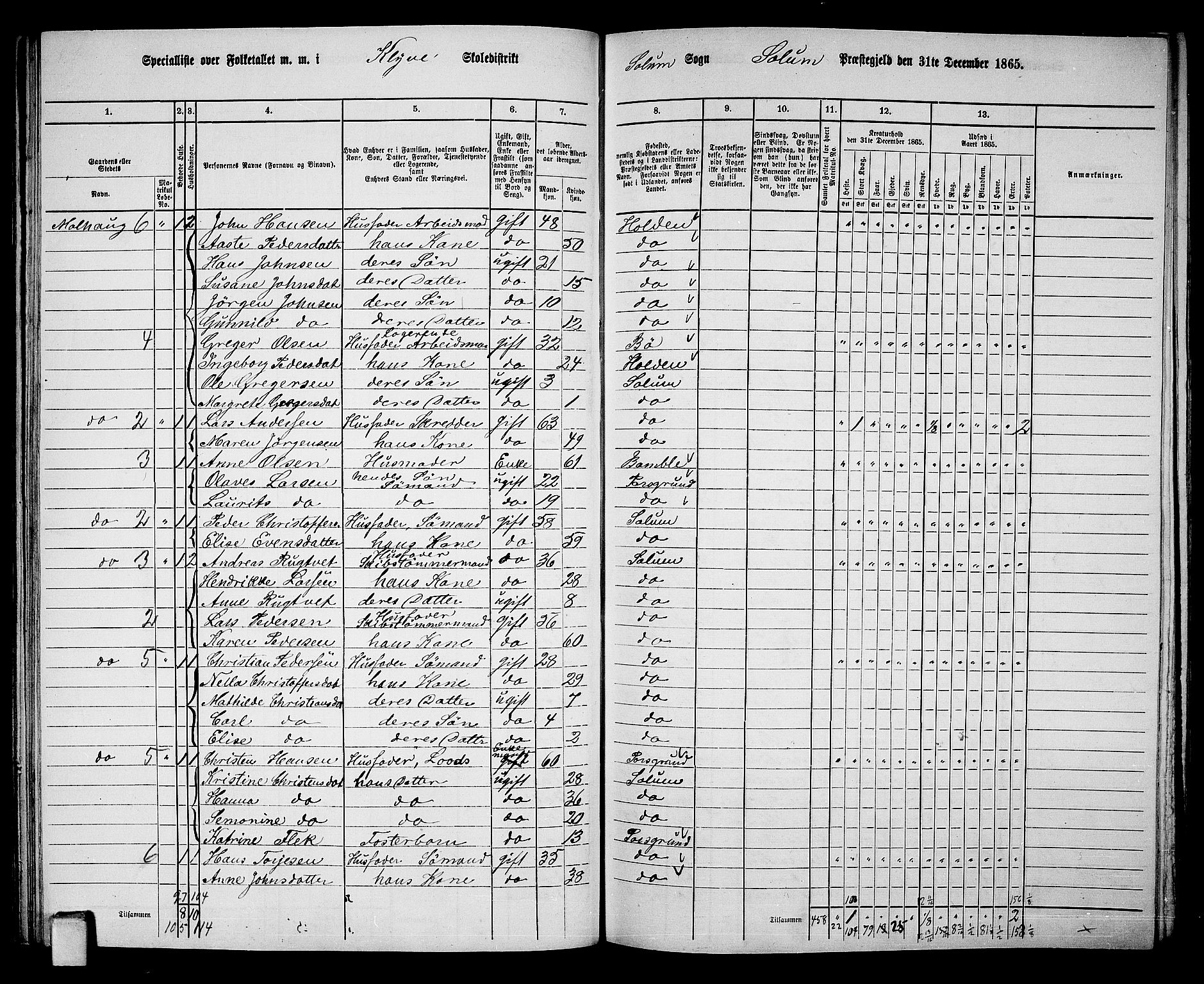 RA, 1865 census for Solum, 1865, p. 88