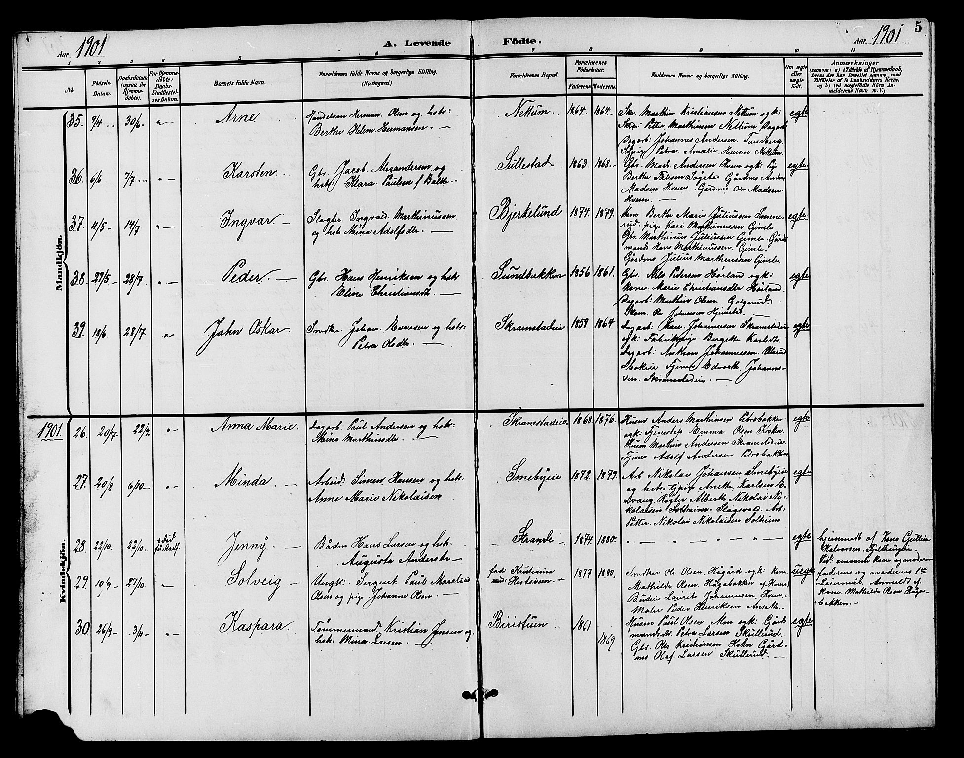 Østre Toten prestekontor, AV/SAH-PREST-104/H/Ha/Hab/L0007: Parish register (copy) no. 7, 1901-1912, p. 5