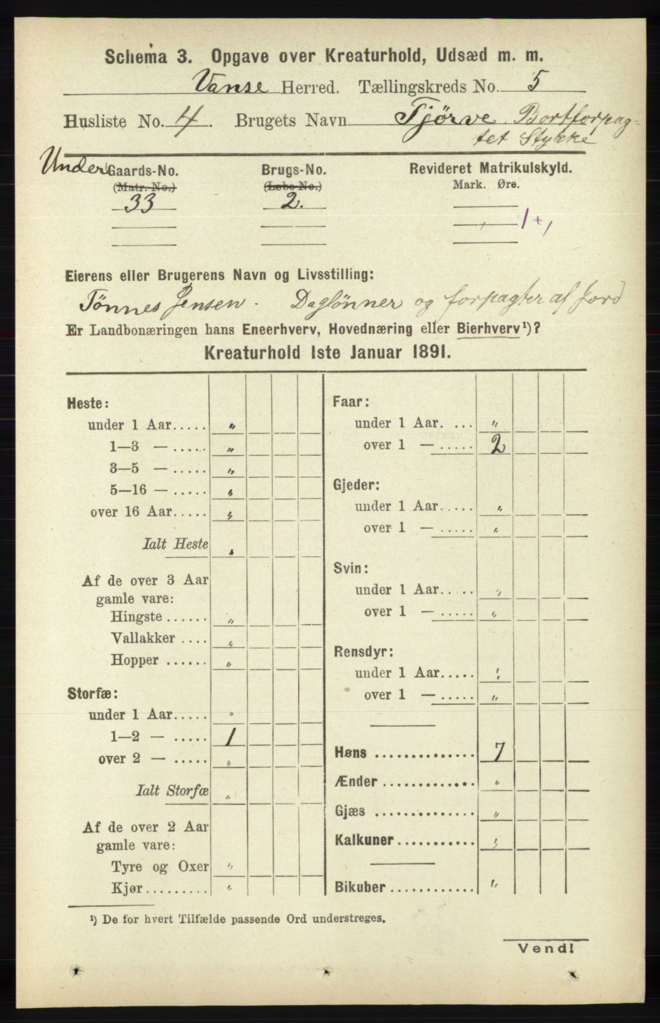 RA, 1891 census for 1041 Vanse, 1891, p. 8741