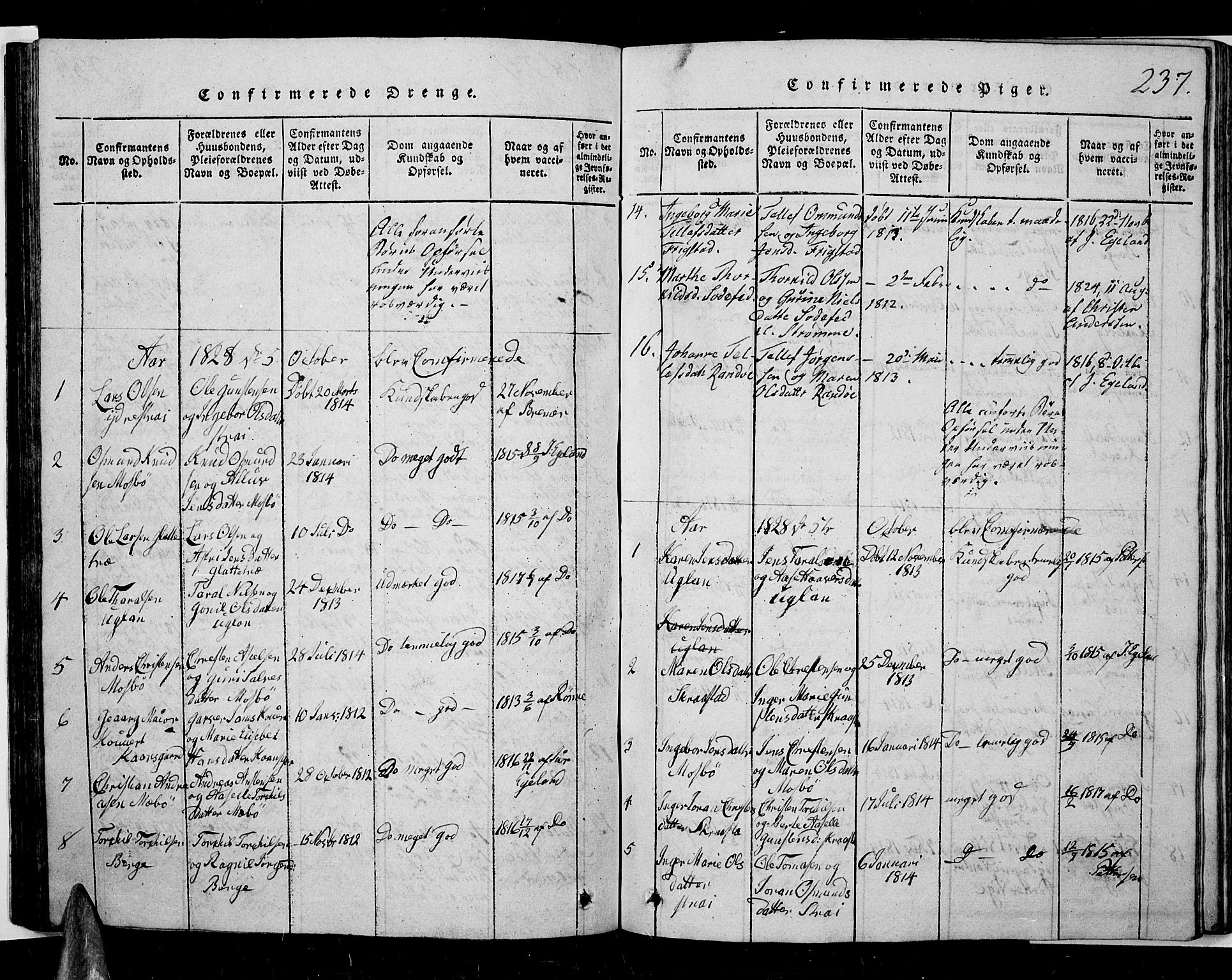 Oddernes sokneprestkontor, SAK/1111-0033/F/Fb/Fba/L0003: Parish register (copy) no. B 3, 1820-1838, p. 237