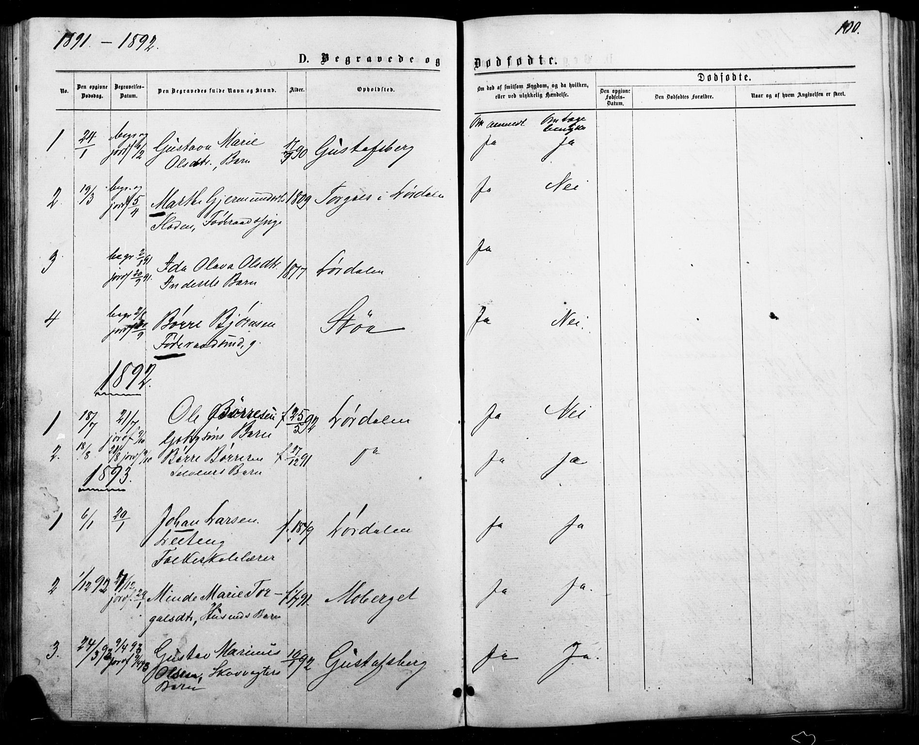 Trysil prestekontor, AV/SAH-PREST-046/H/Ha/Haa/L0010: Parish register (official) no. 10, 1872-1895, p. 100