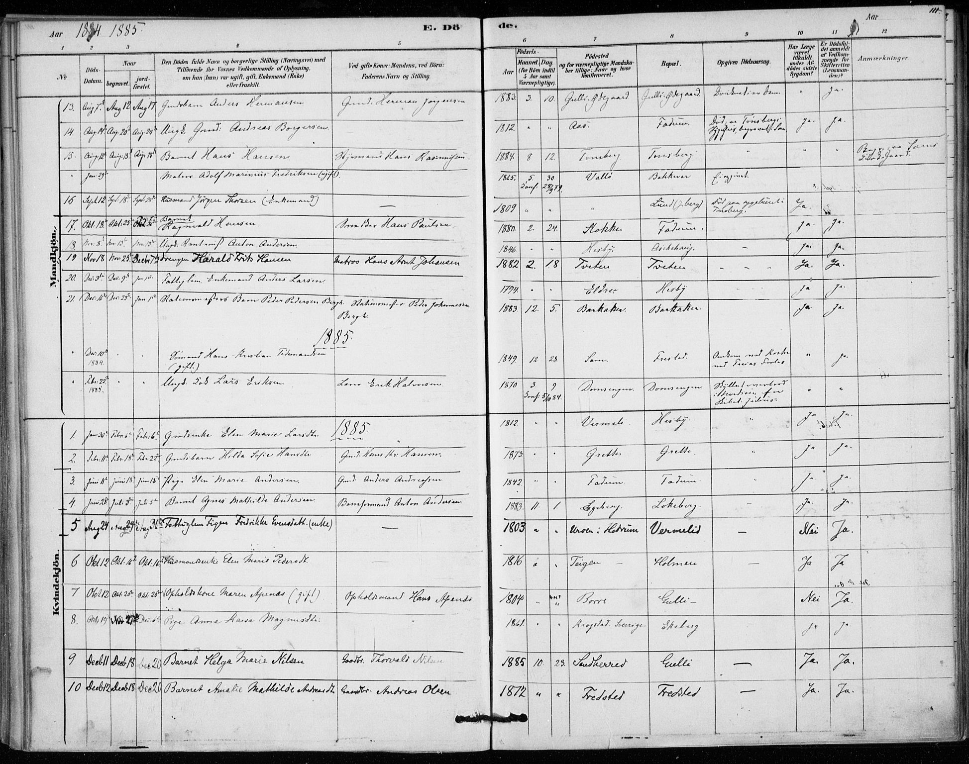 Sem kirkebøker, AV/SAKO-A-5/F/Fa/L0010: Parish register (official) no. I 10, 1878-1887, p. 111